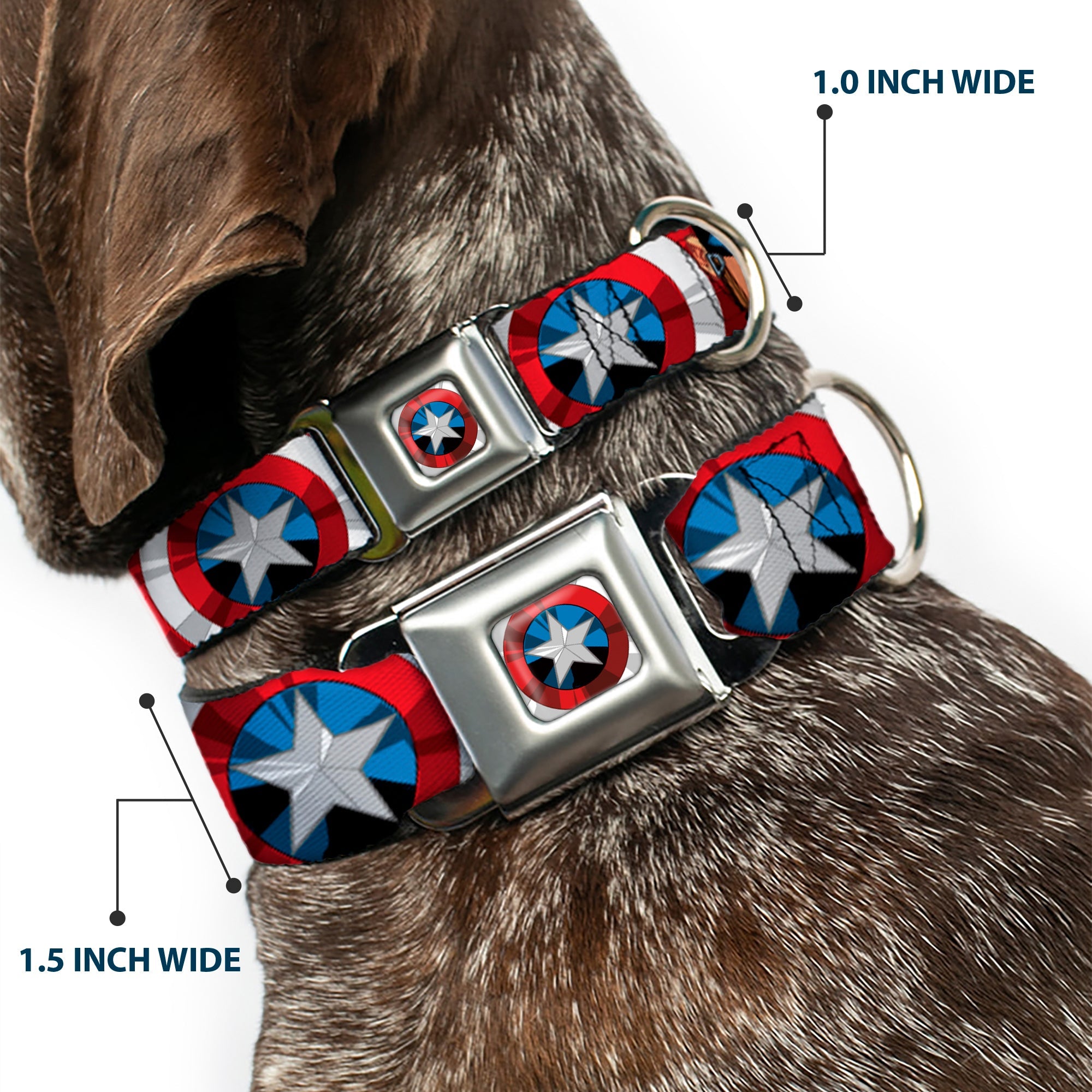 Captain America Shield2 CLOSE-UP Full Color Seatbelt Buckle Collar - Captain America Face Turns/Shield CLOSE-UP