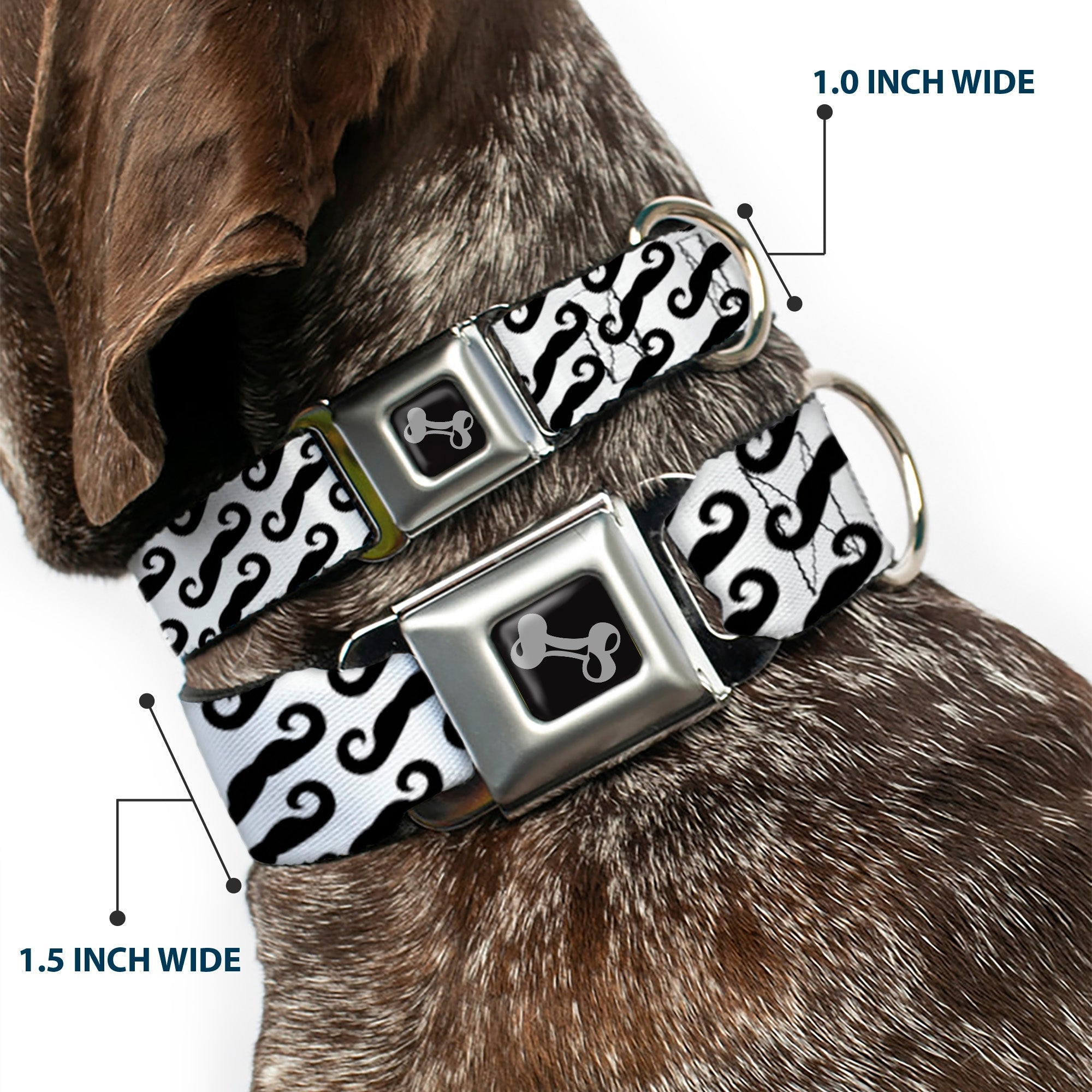 Dog Bone Seatbelt Buckle Collar - Diagonal Handlebar Mustaches White/Black