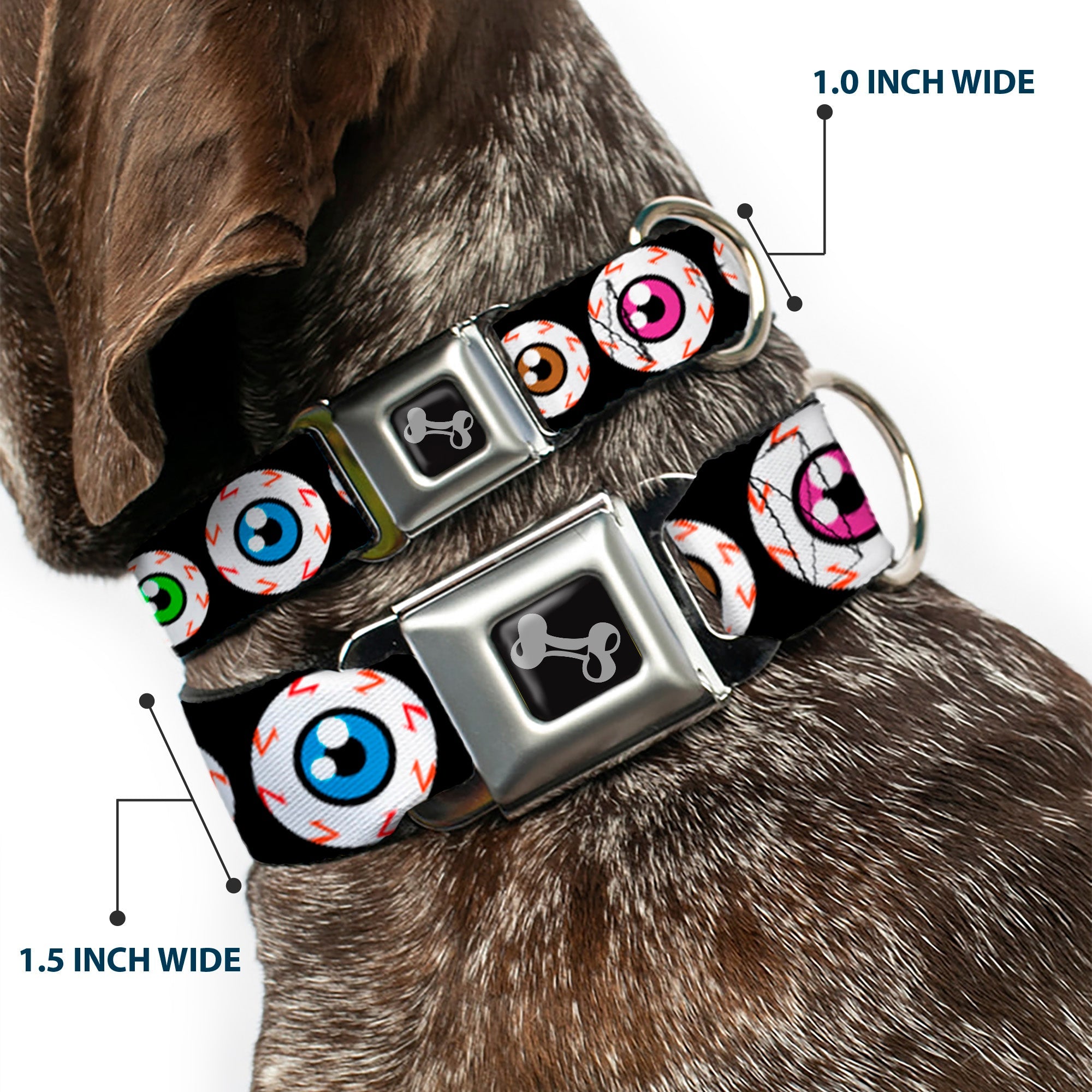 Dog Bone Seatbelt Buckle Collar - Eyeballs Black/Multi Color