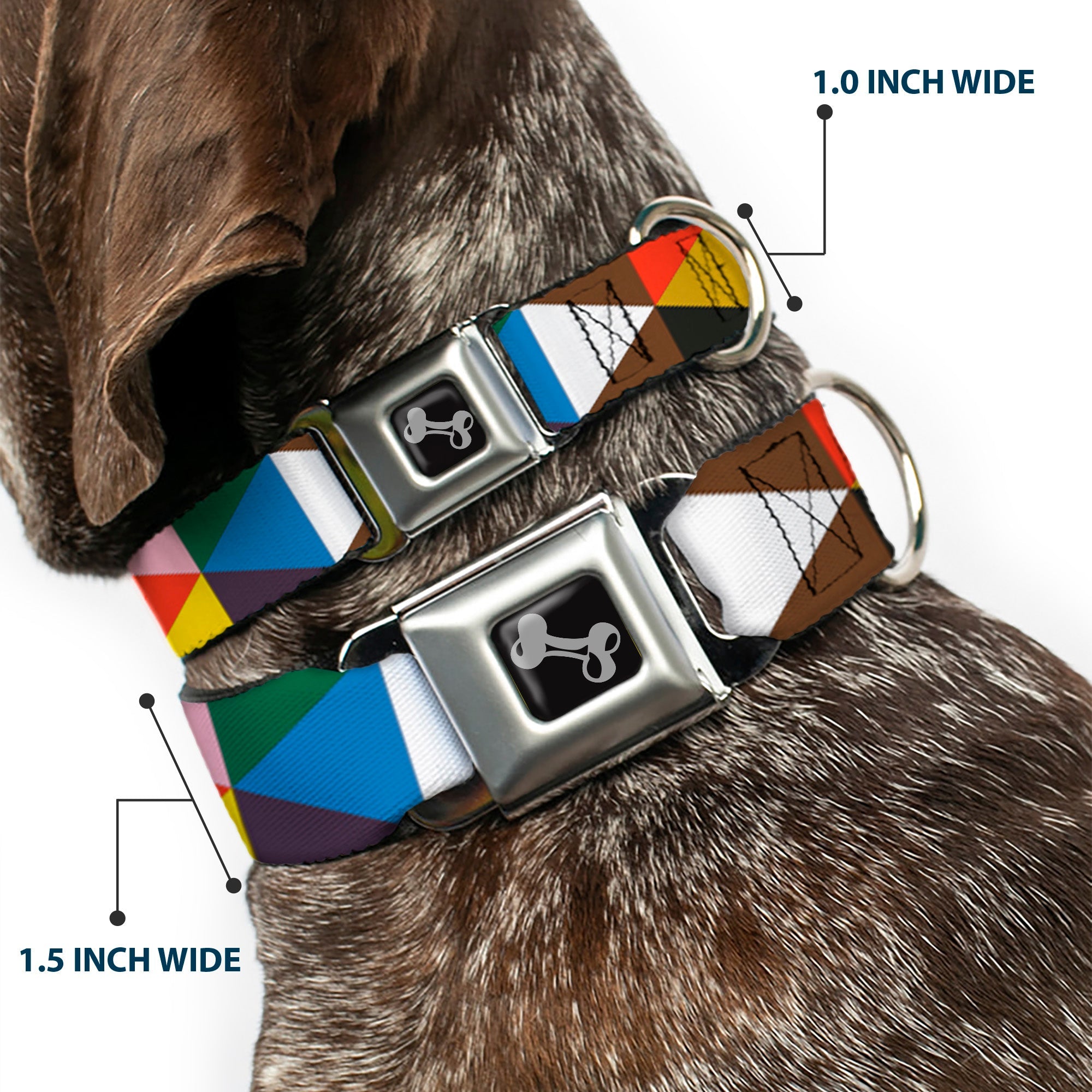 Dog Bone Seatbelt Buckle Collar - Geometric Triangle Blocks Multi Color