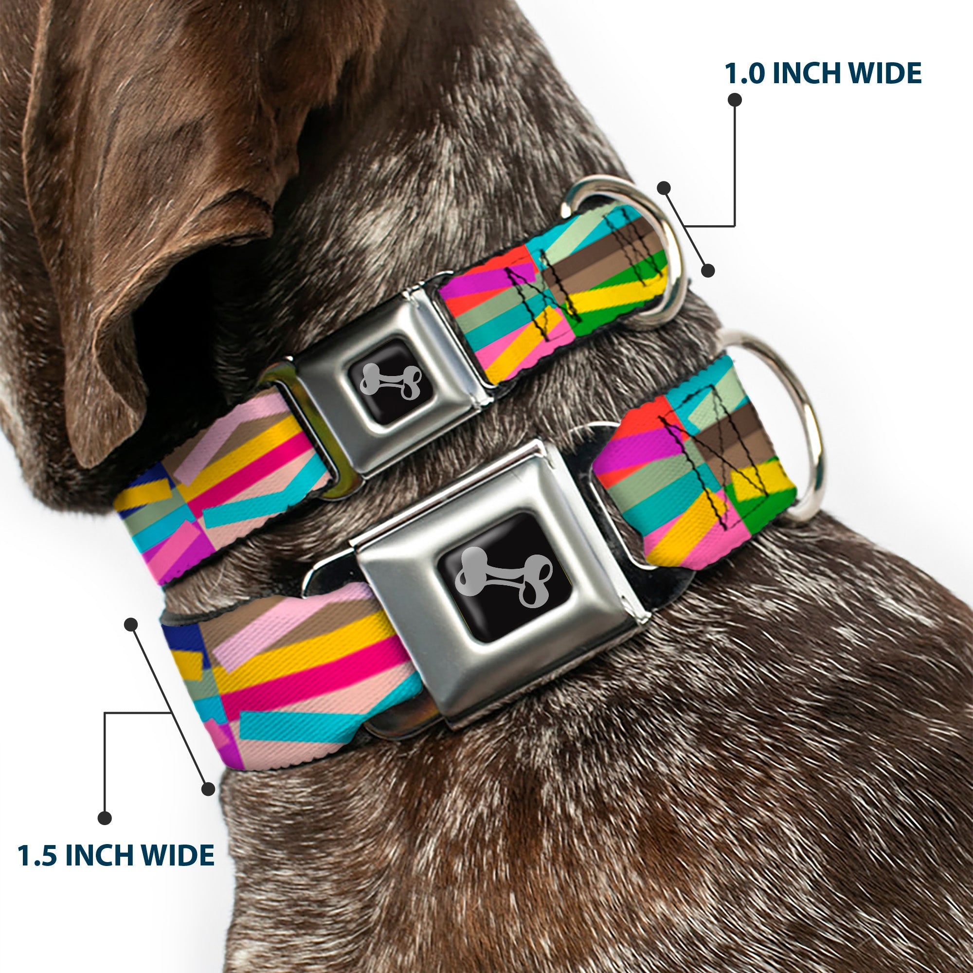Dog Bone Seatbelt Buckle Collar - Geometric10 Multi Color