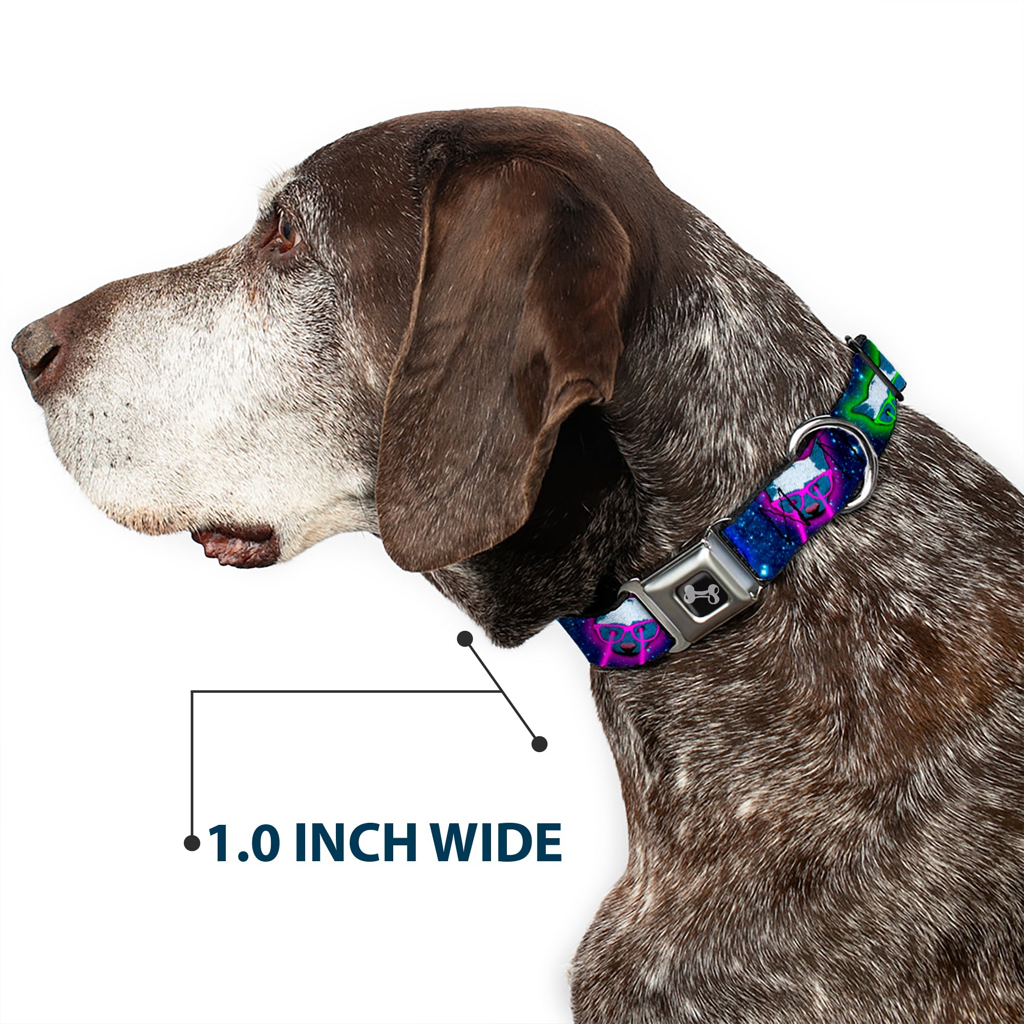 Dog Bone Seatbelt Buckle Collar - Laser Eye Cats in Space