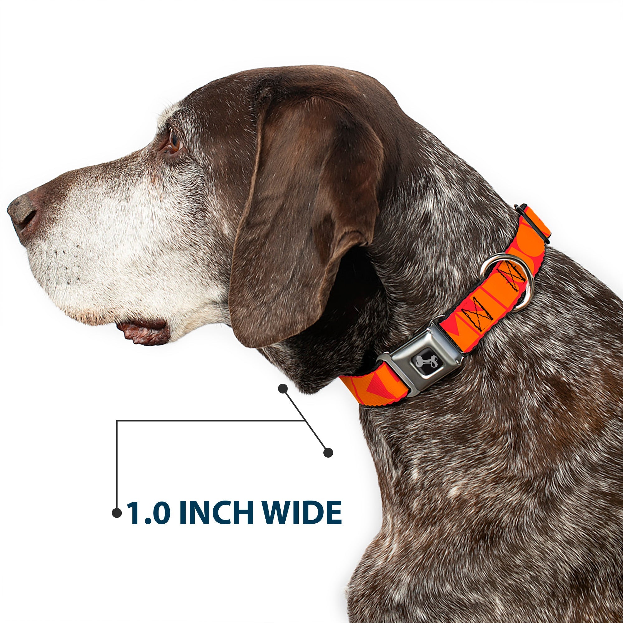 Dog Bone Seatbelt Buckle Collar - BUCKLE-DOWN Shapes Red/Orange