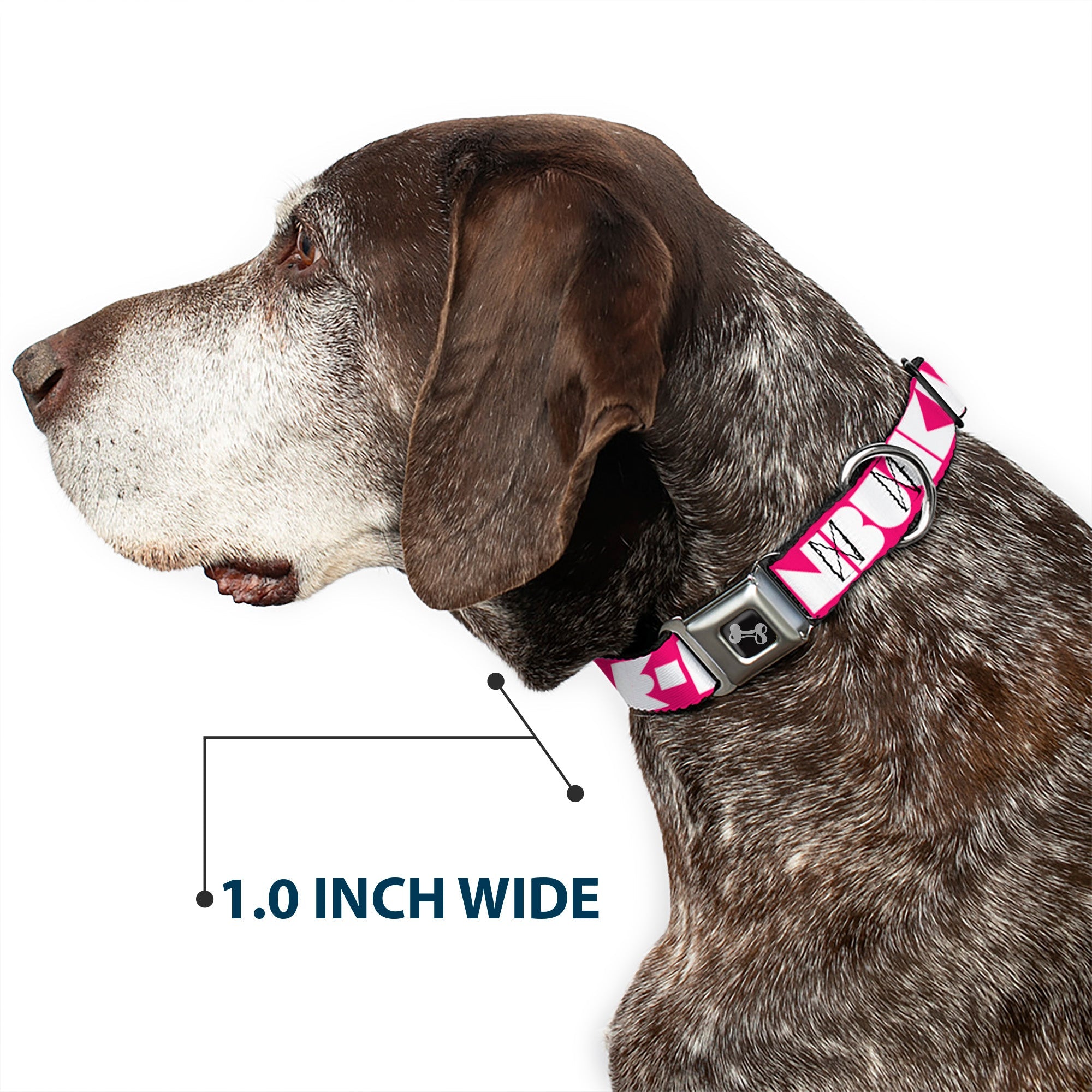 Dog Bone Seatbelt Buckle Collar - BUCKLE-DOWN Shapes Hot Pink/White