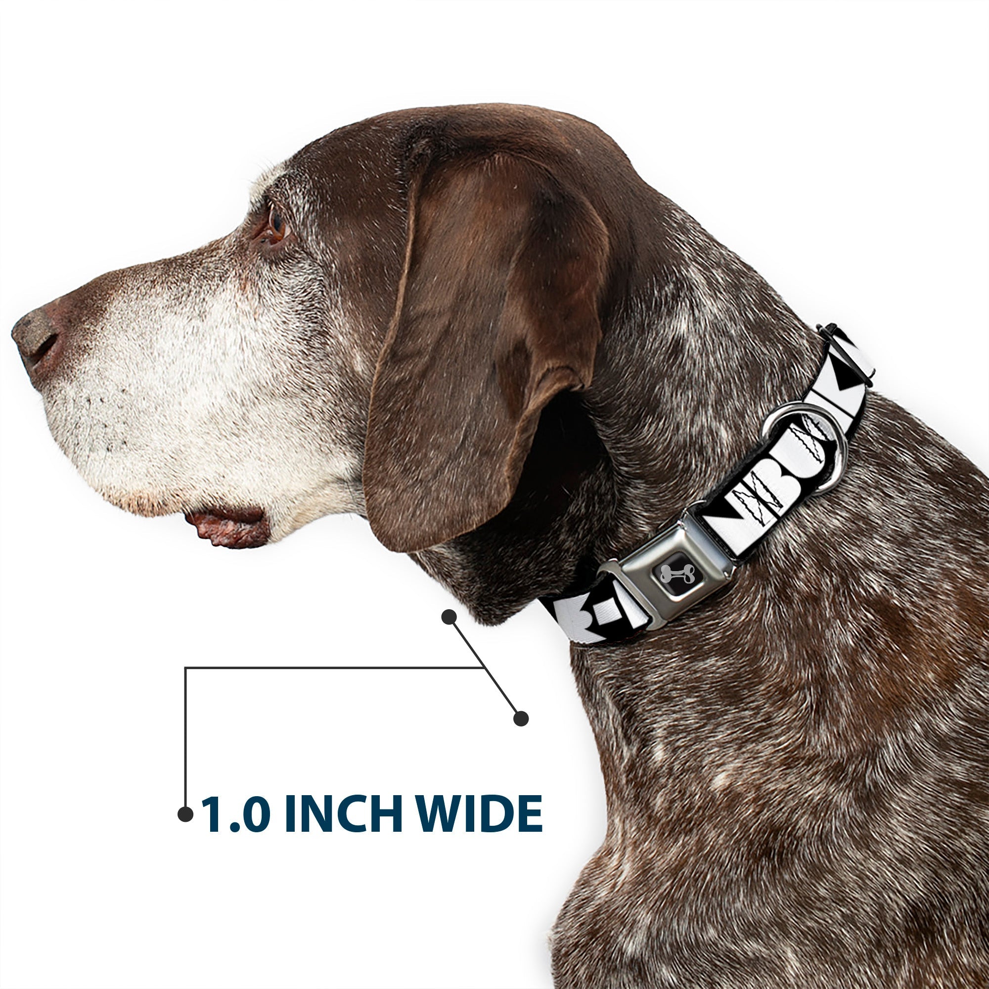 Dog Bone Seatbelt Buckle Collar - BUCKLE-DOWN Shapes Black/White