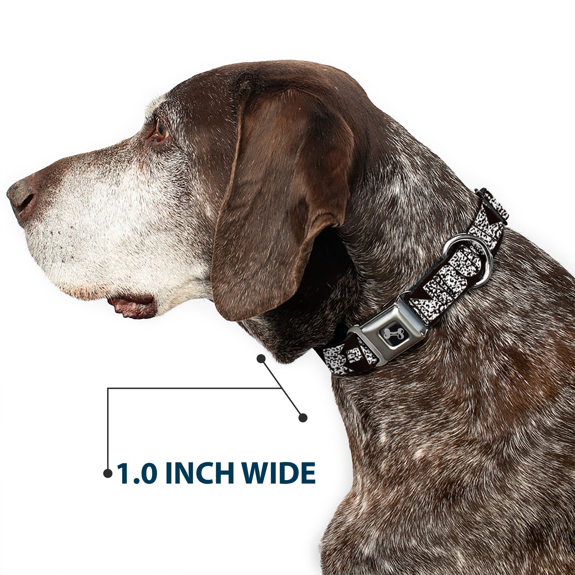 Dog Bone Seatbelt Buckle Collar - BUCKLE-DOWN Shapes Black/Camo White/Black
