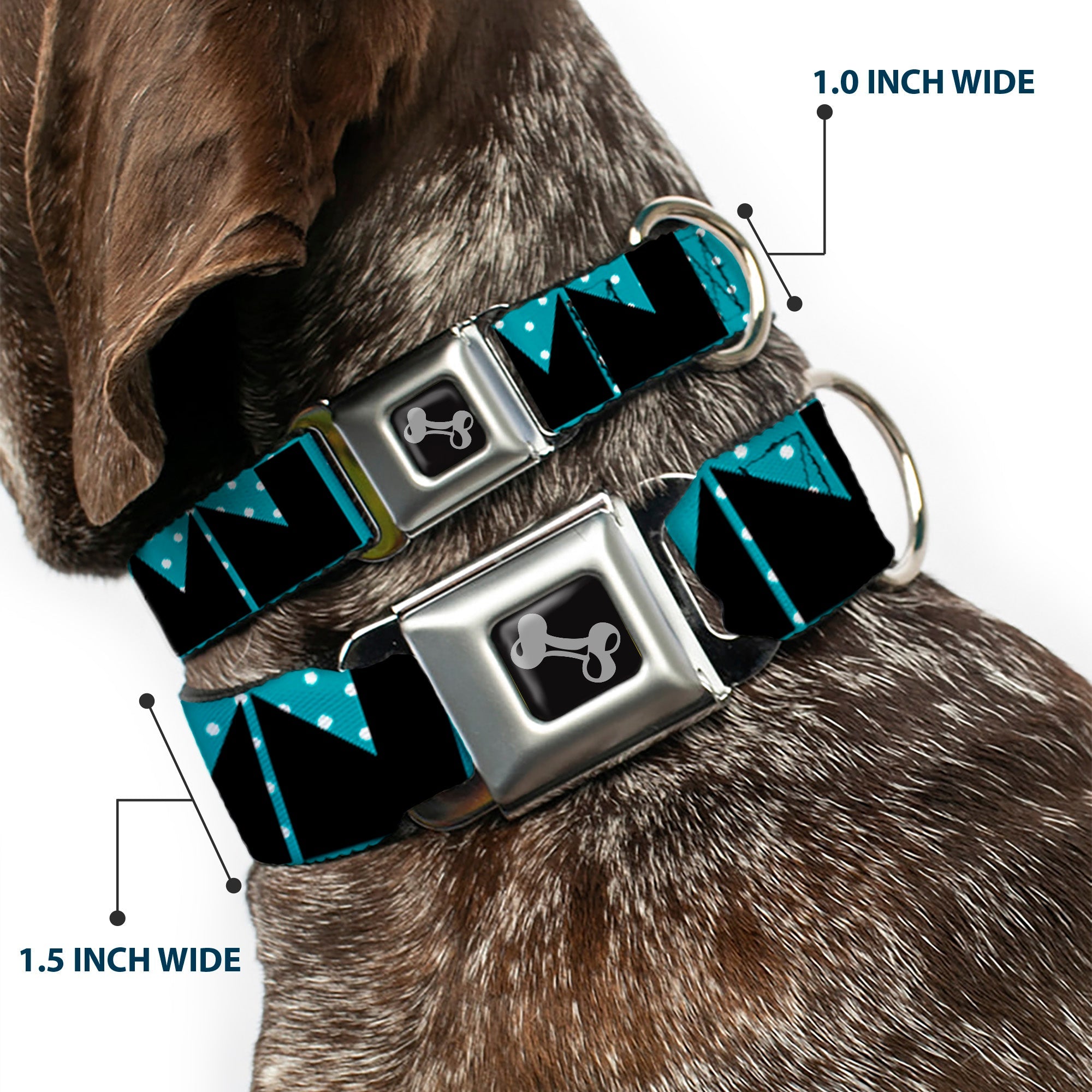 Dog Bone Seatbelt Buckle Collar - BUCKLE-DOWN Shapes Dot Turquoise/White/Black
