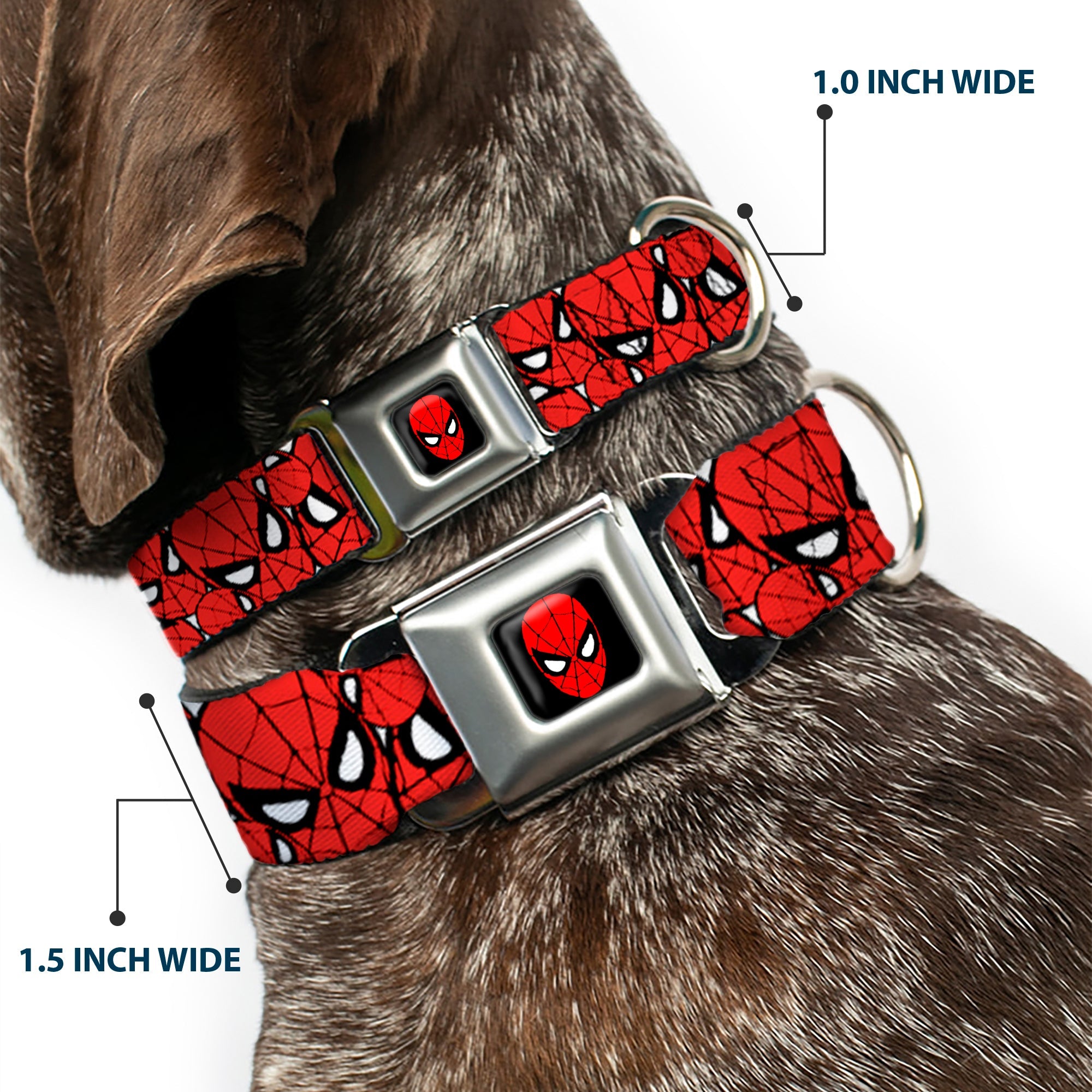 MARVEL UNIVERSE Spider-Man Full Color Seatbelt Buckle Collar - Spider-Man Stacked