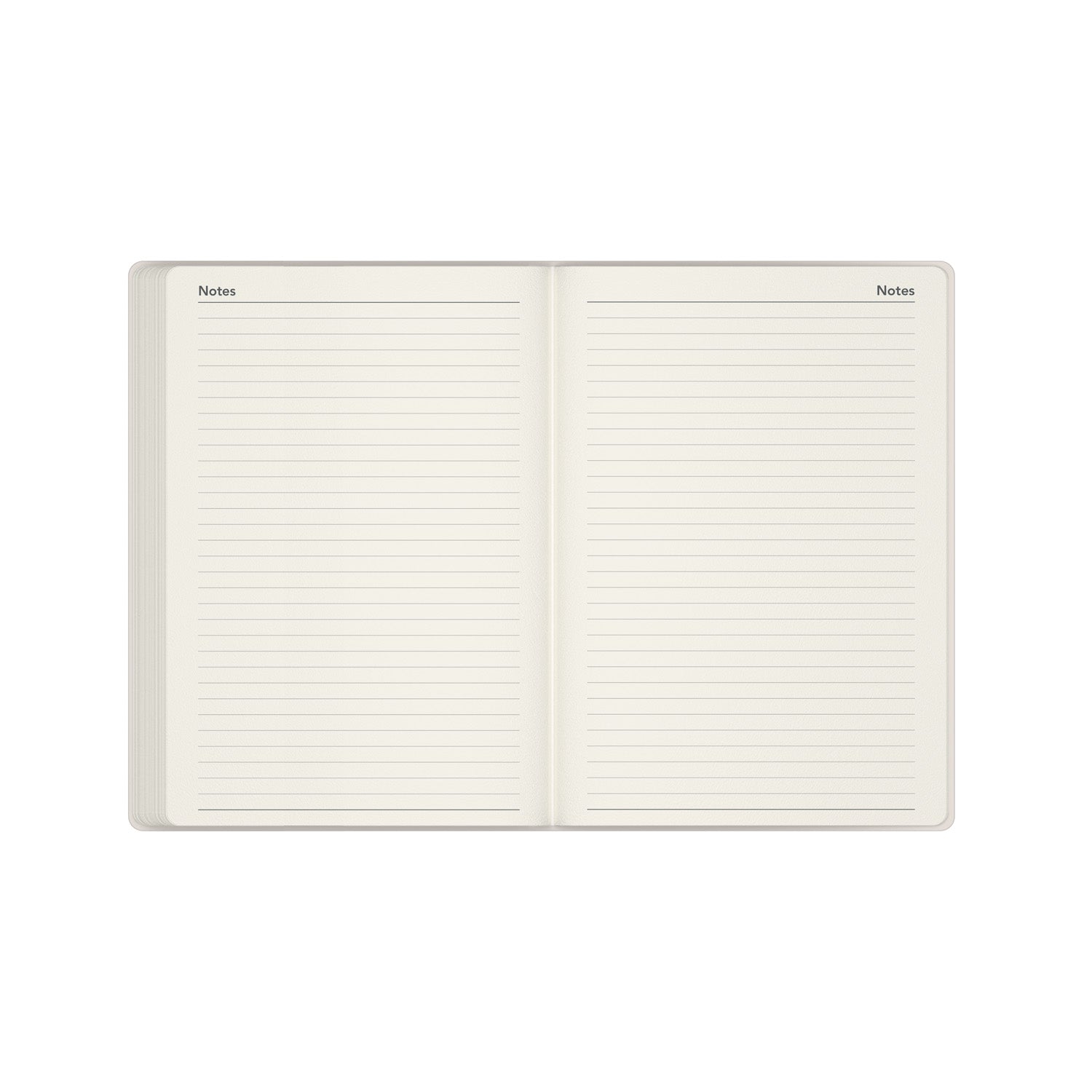 Bella Ramsay Cat - A5  Week-To-View - Diary - 2026 Calendar Year Planner