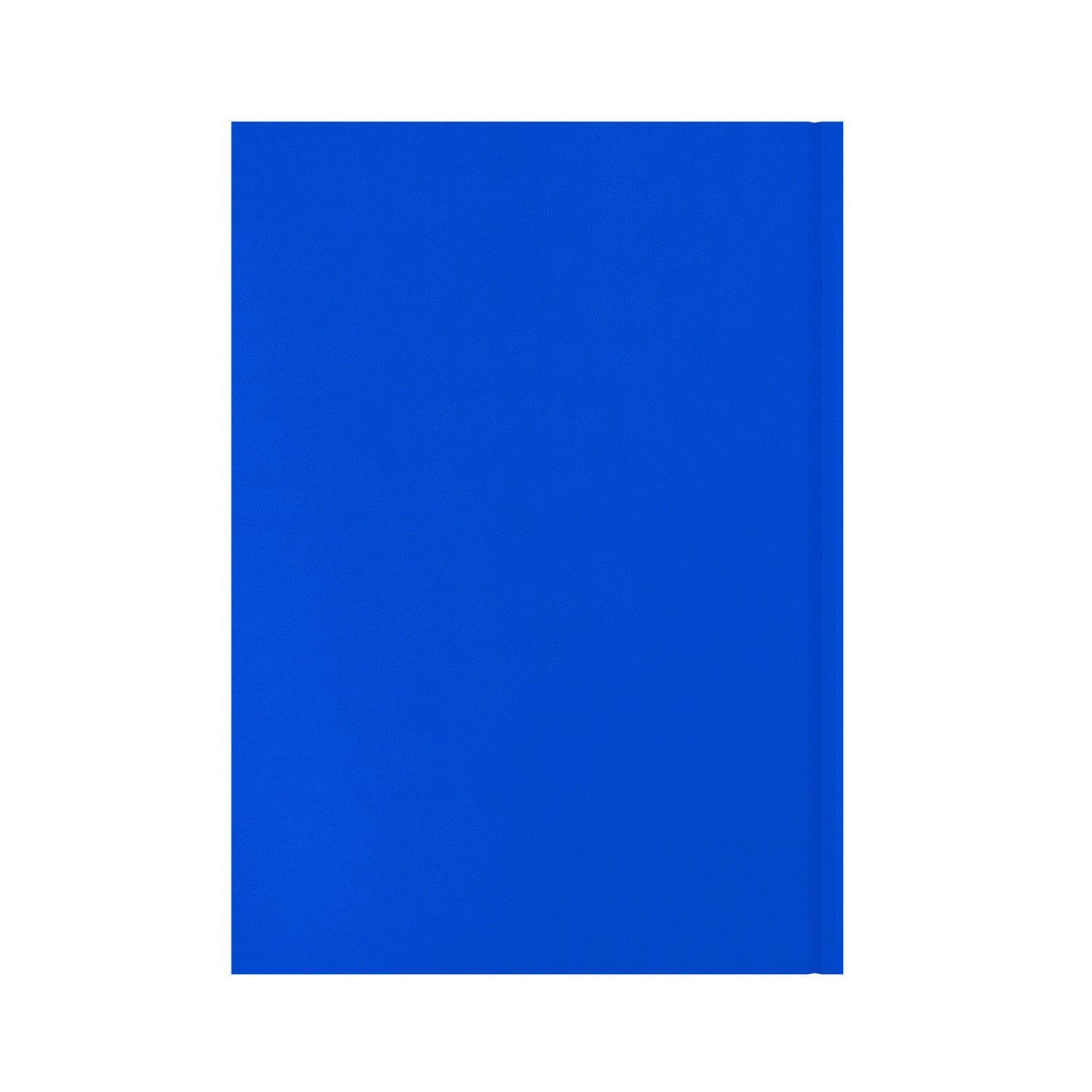 Essentials - A4 Day-to-Page with Appointments Mid/Academic Year Diary Planner 2025-2026