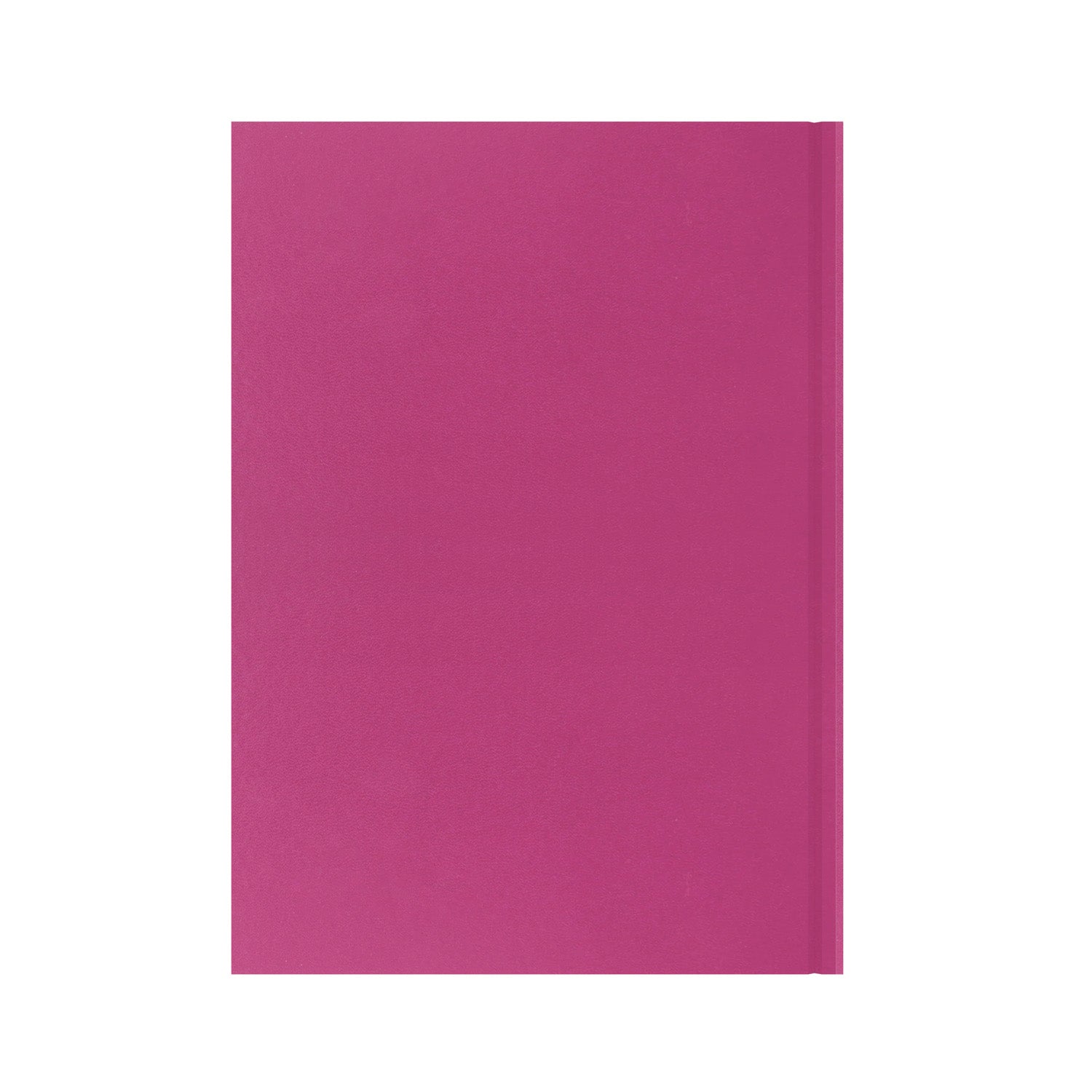 Essentials - A4 Day-to-Page with Appointments Mid/Academic Year Diary Planner 2025-2026