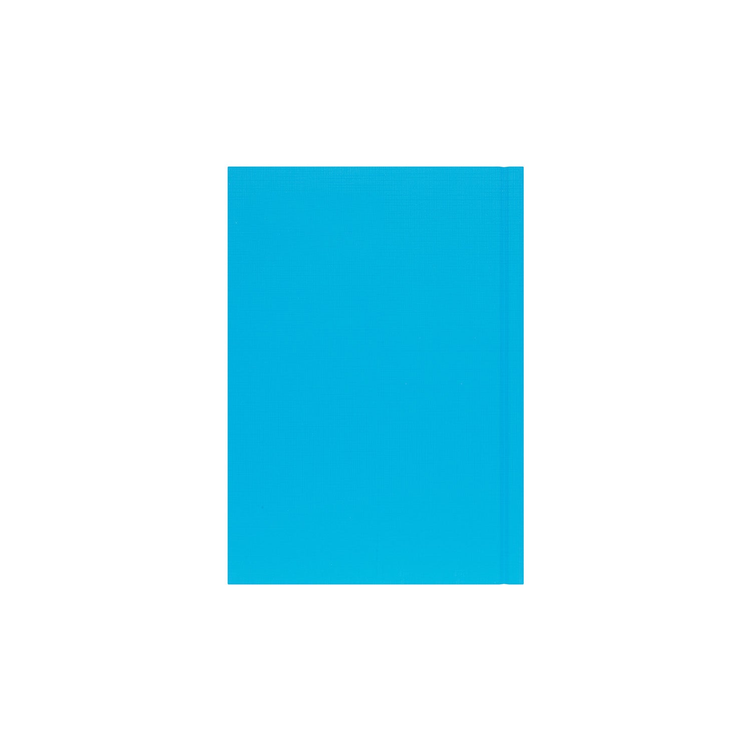 Essential - A5 Day-to-Page Diary - 2026 Calendar Year Planner