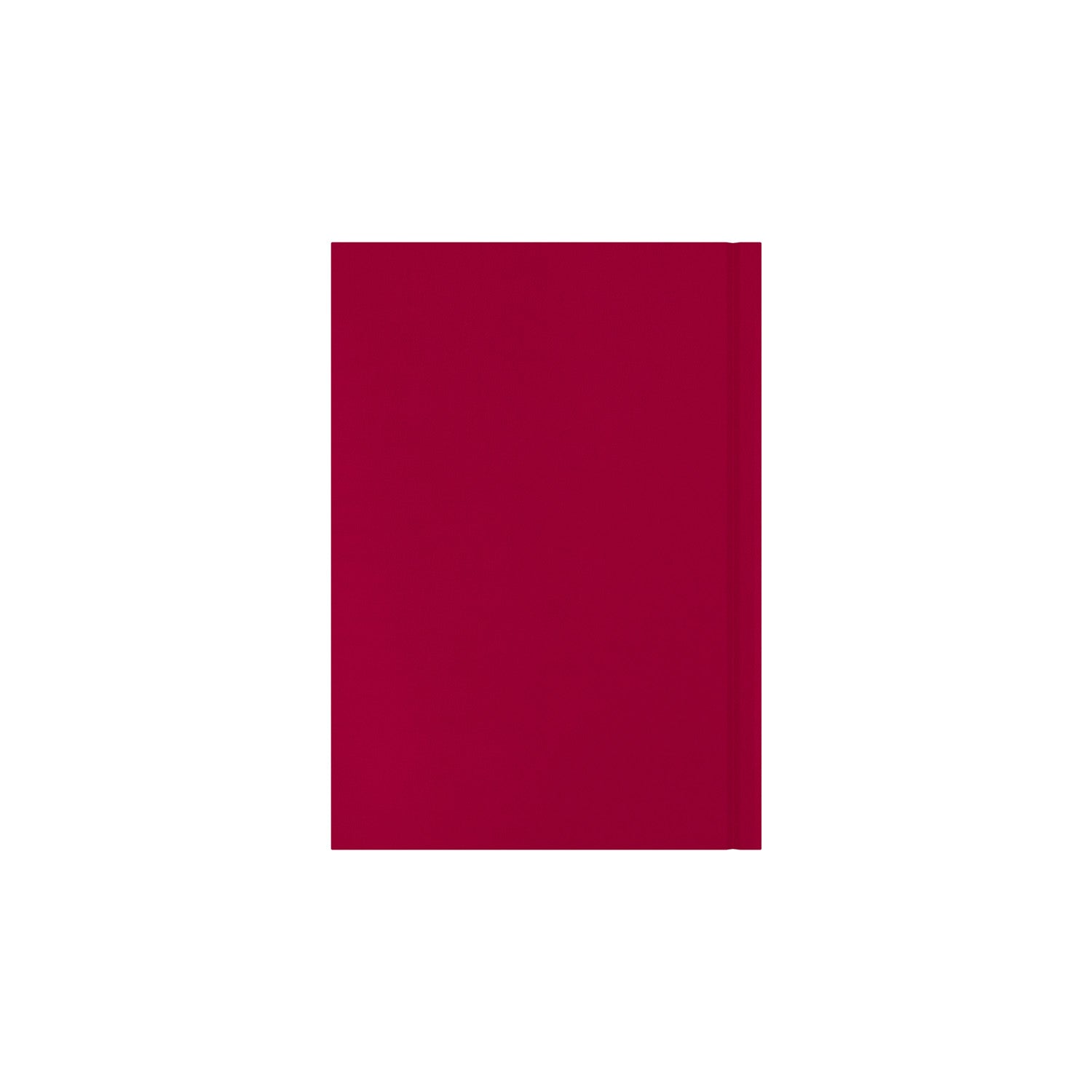 Essential - A5 Day-to-Page Diary - 2026 Calendar Year Planner