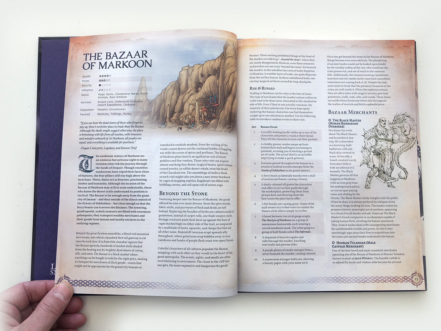 Remarkable Shops & Their Wares (Softcover)