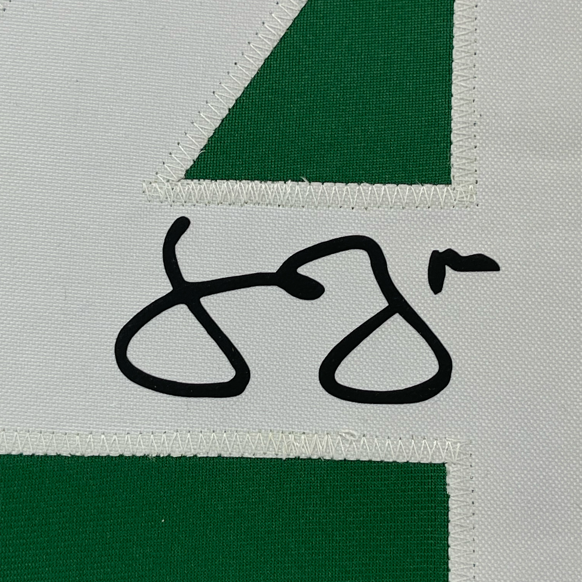 Framed Facsimile Autographed Jamie Benn 35x39 Dallas Green Reprint Laser Auto Hockey Jersey