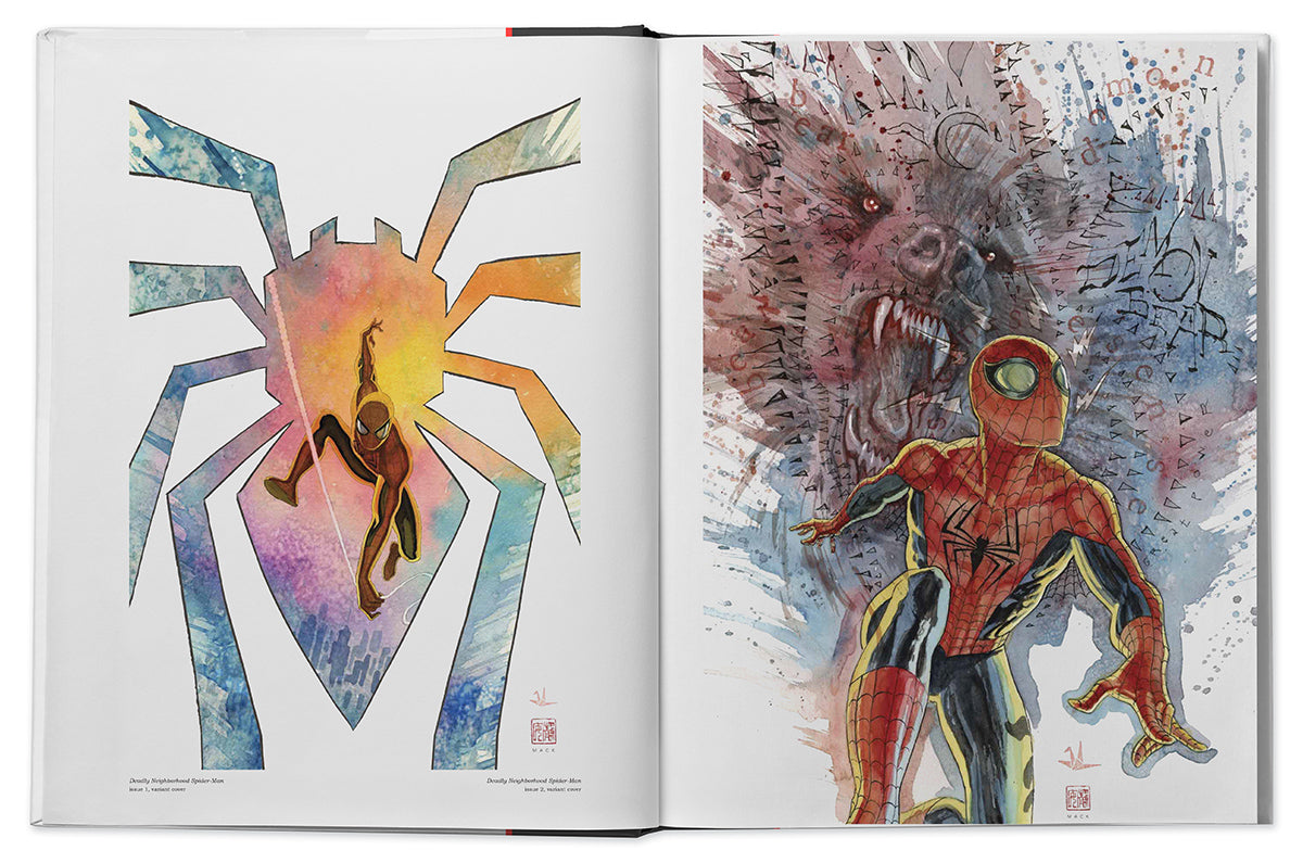 The Marvel Art of David Mack Dustjacket Edition