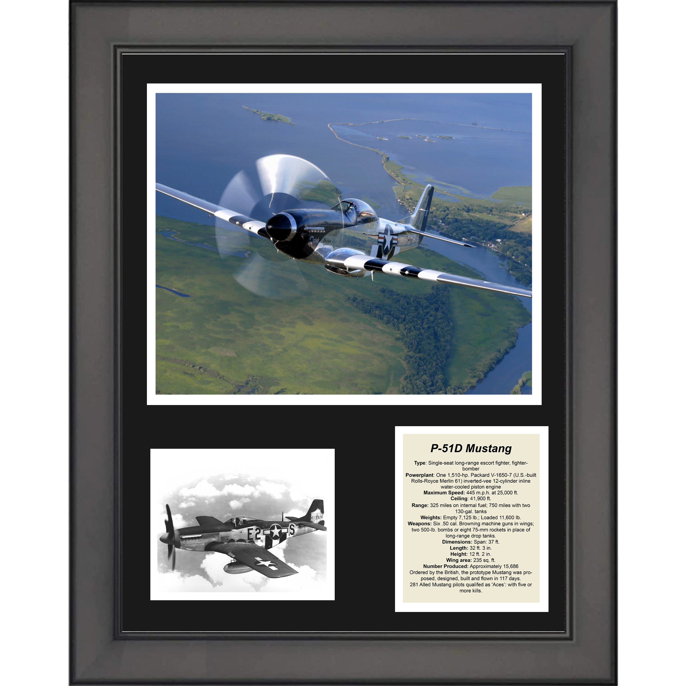 Framed P-51D Mustang Fighter-Bomber Military Aircraft 11"x14" Three Photo Collage