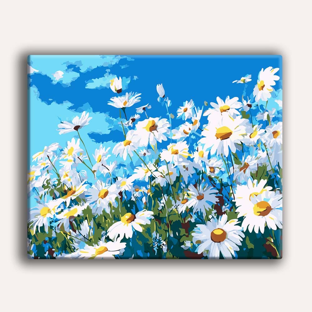 Summer Daisies - Paint By Numbers Kit