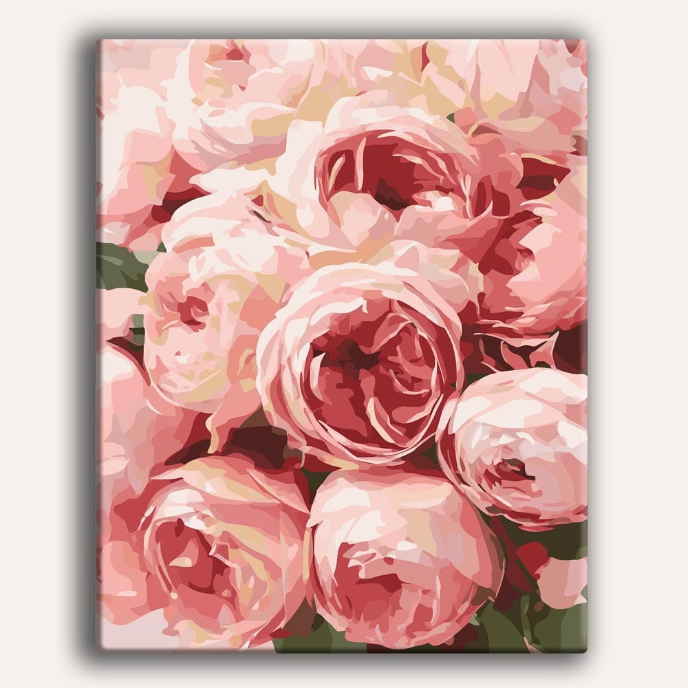 Pink Roses - Paint By Numbers Kit