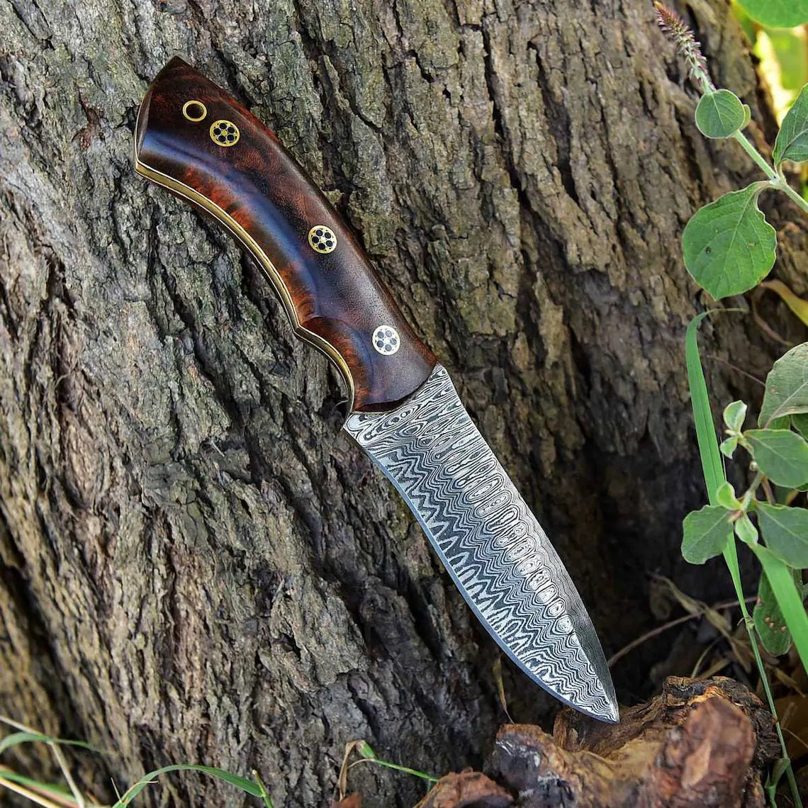 KBS Knives - 'Wilderness Warrior' Custom Handmade Damascus Steel Hunting Knife with Rosewood Handle
