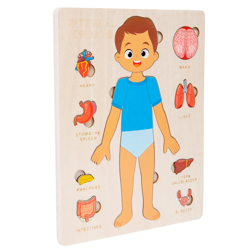 Kids Wooden Montessori Human Body Puzzle – Educational Anatomy Toy for Learning