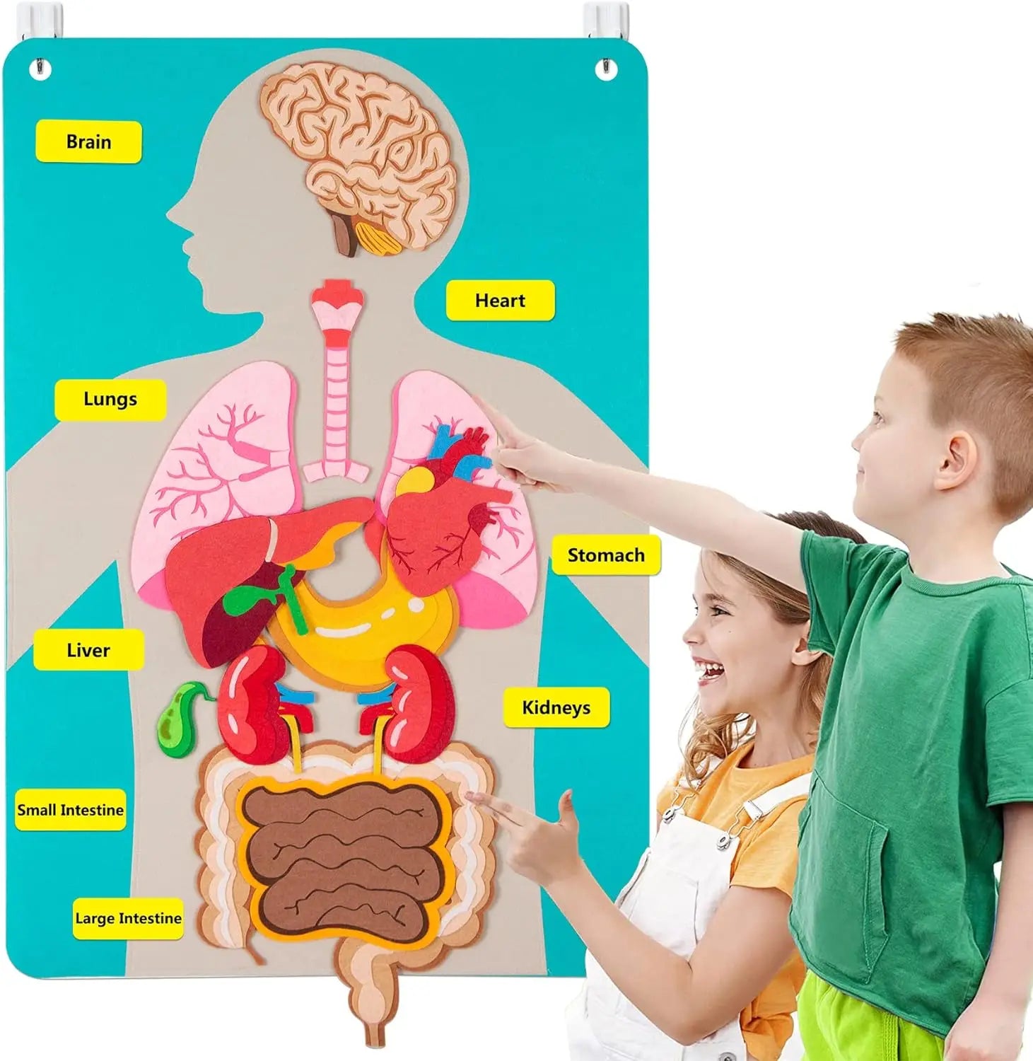 Human Body Parts Quiet Book – Educational Anatomy Felt Board for Toddlers