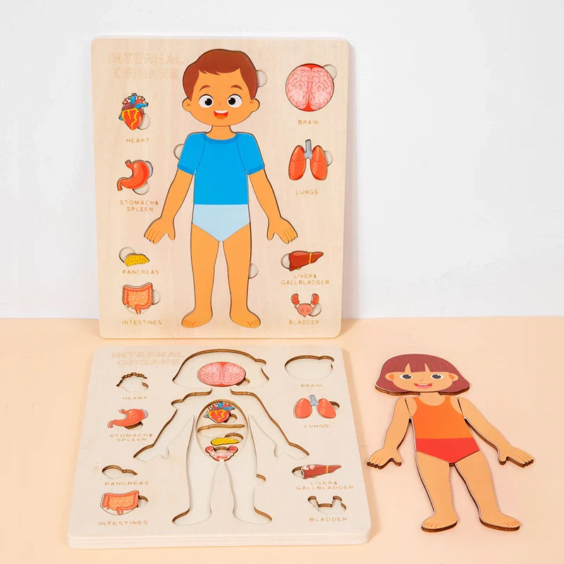 Kids Wooden Montessori Human Body Puzzle – Educational Anatomy Toy for Learning