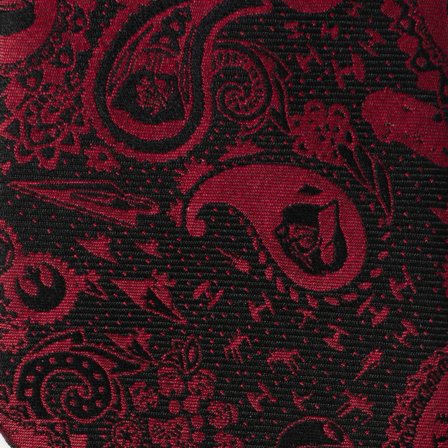 Star Wars Darth Vader Black and Red Paisley Tie