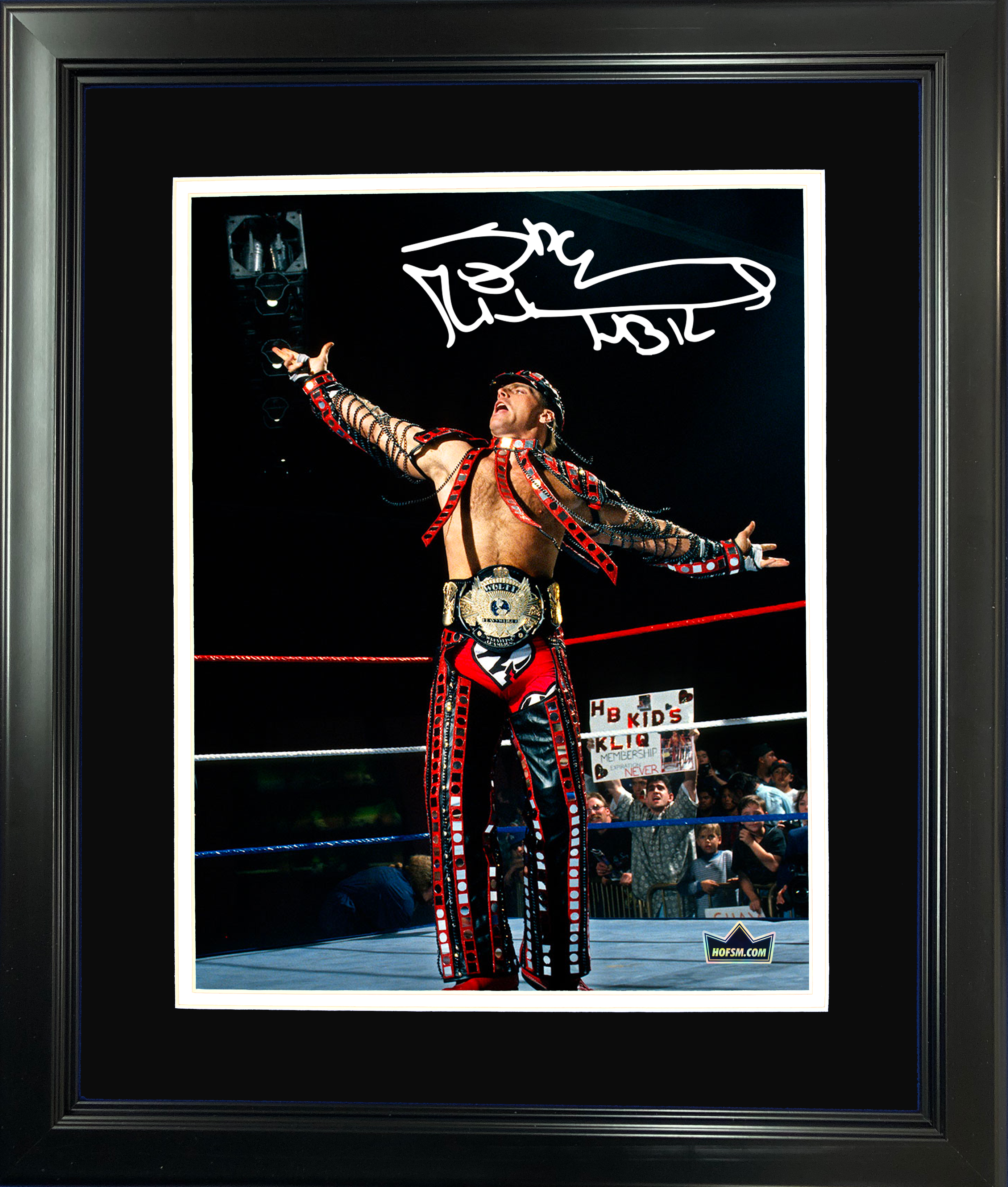 Framed Shawn Michaels WWE Facsimile Laser Engraved Signature Auto 11"x14"Wrestling Photo HOFSM Holo