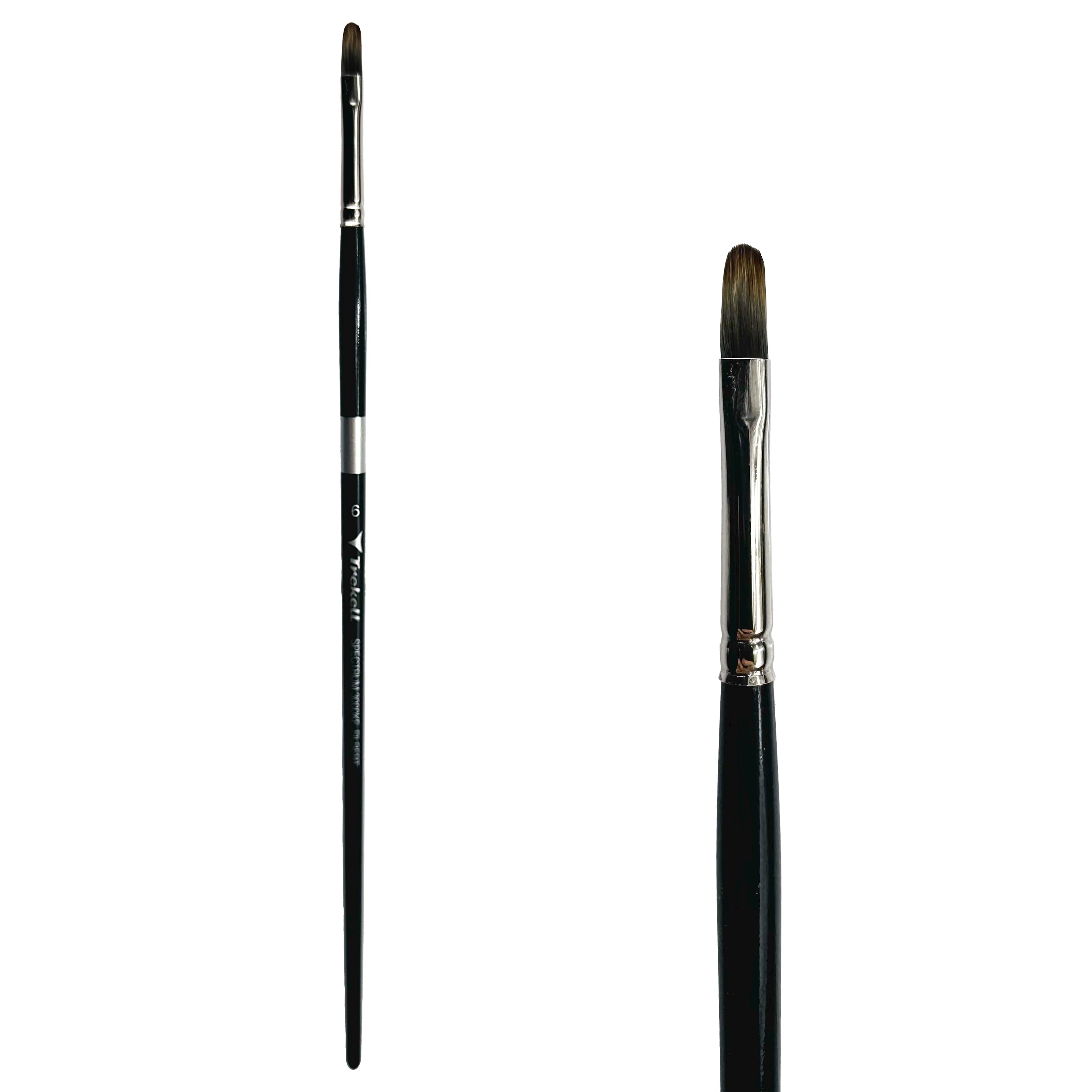 Trekell Spectrum Long Handle Artist Brush - Size #6 Filbert