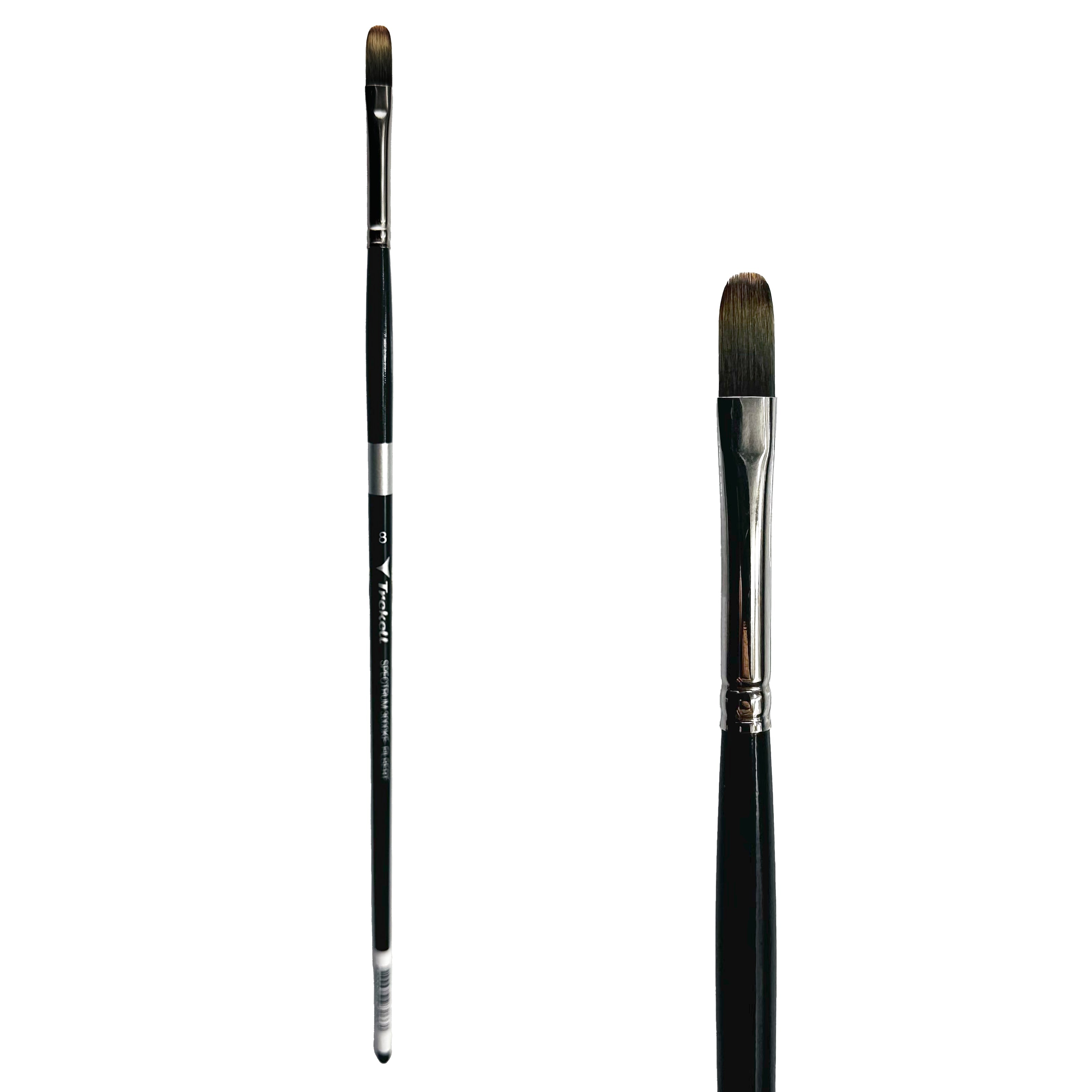 Trekell Spectrum Long Handle Artist Brush - Size #8 Filbert