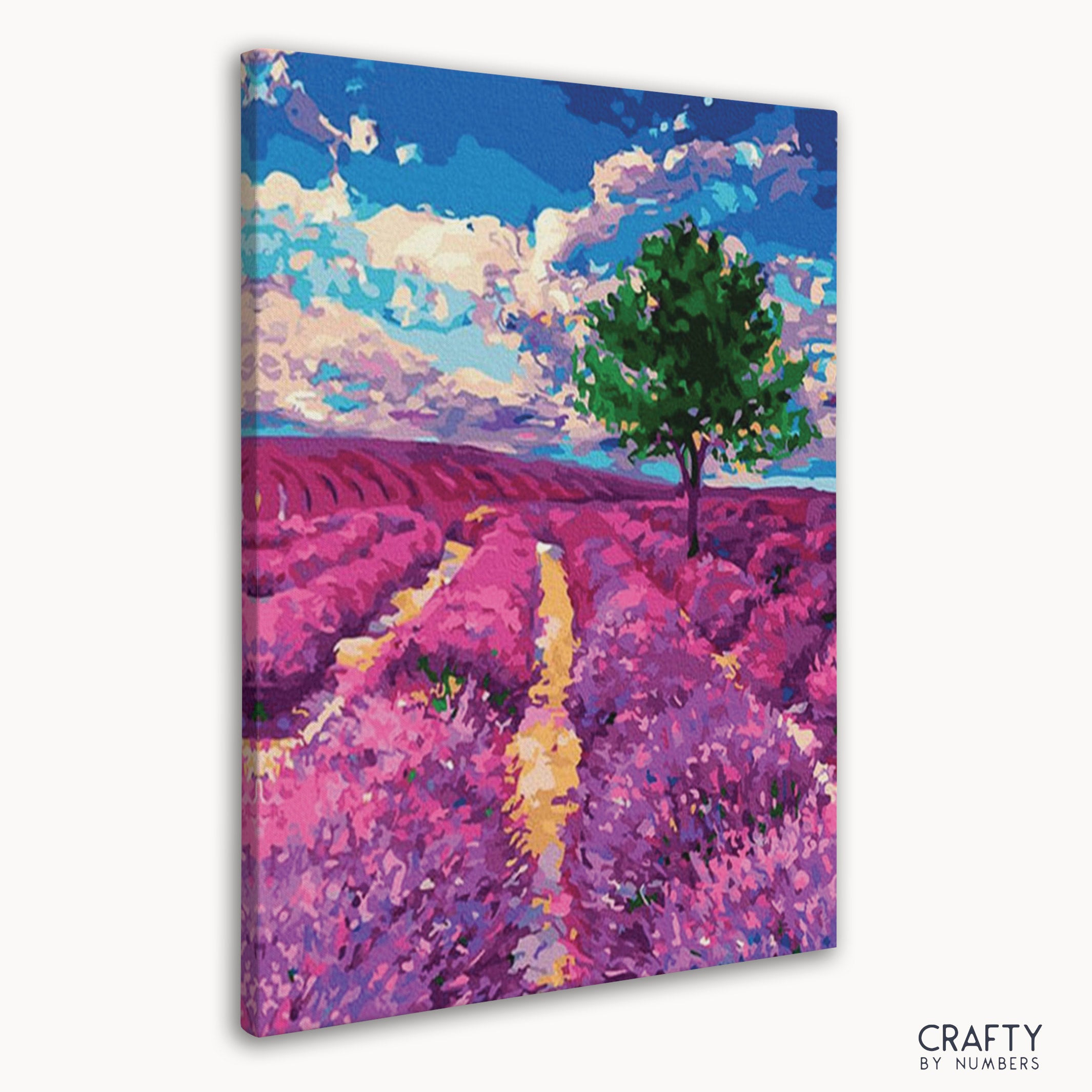 Lavender fields of Provence