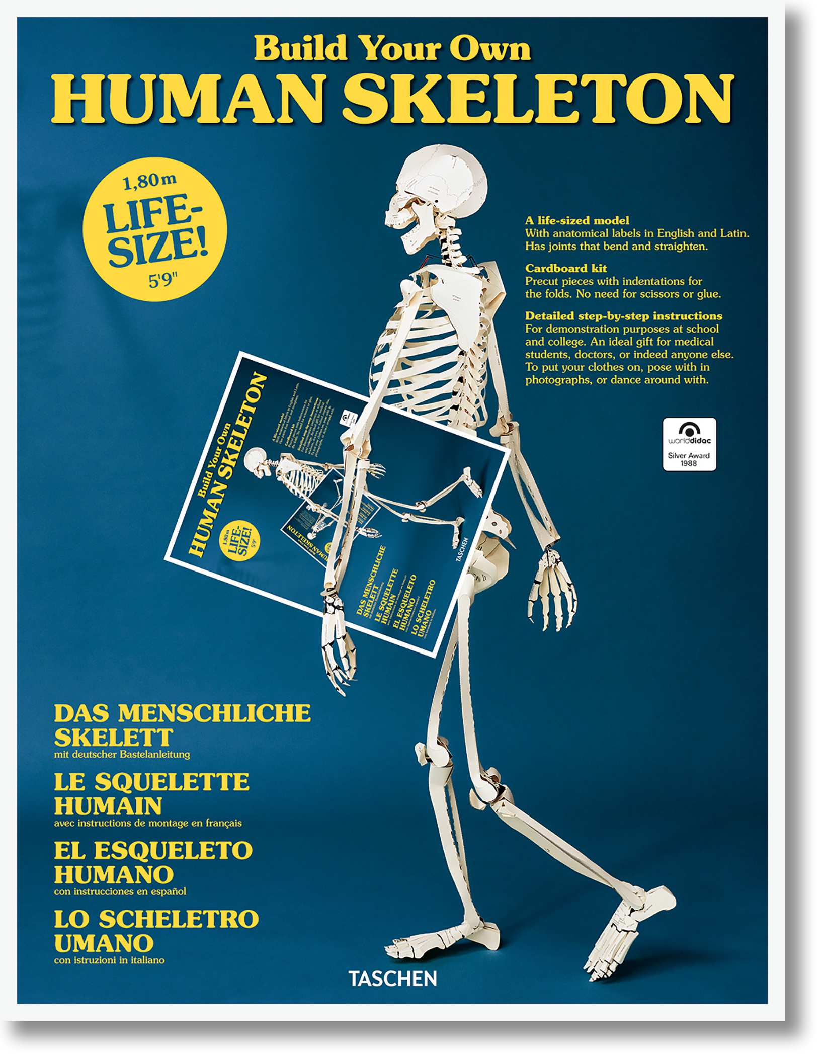 Build Your Own Human Skeleton (German, Spanish, French, English, Italian)