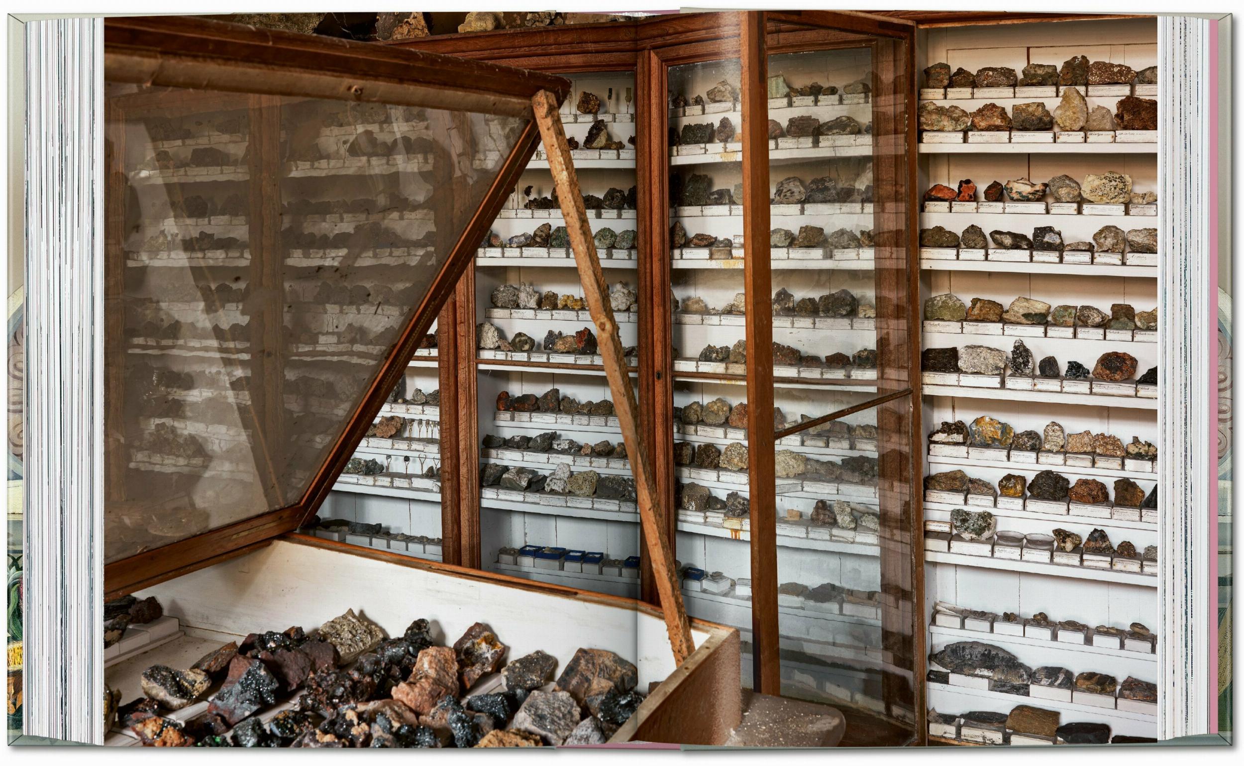 Massimo Listri. Cabinet of Curiosities. 45th Ed. (German, French, English)