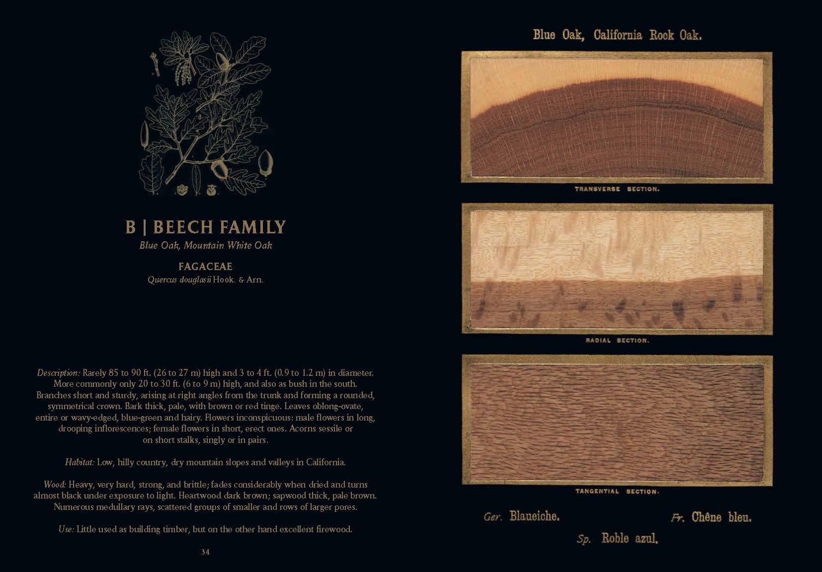 Romeyn B. Hough. The Woodbook. The Complete Plates (English)