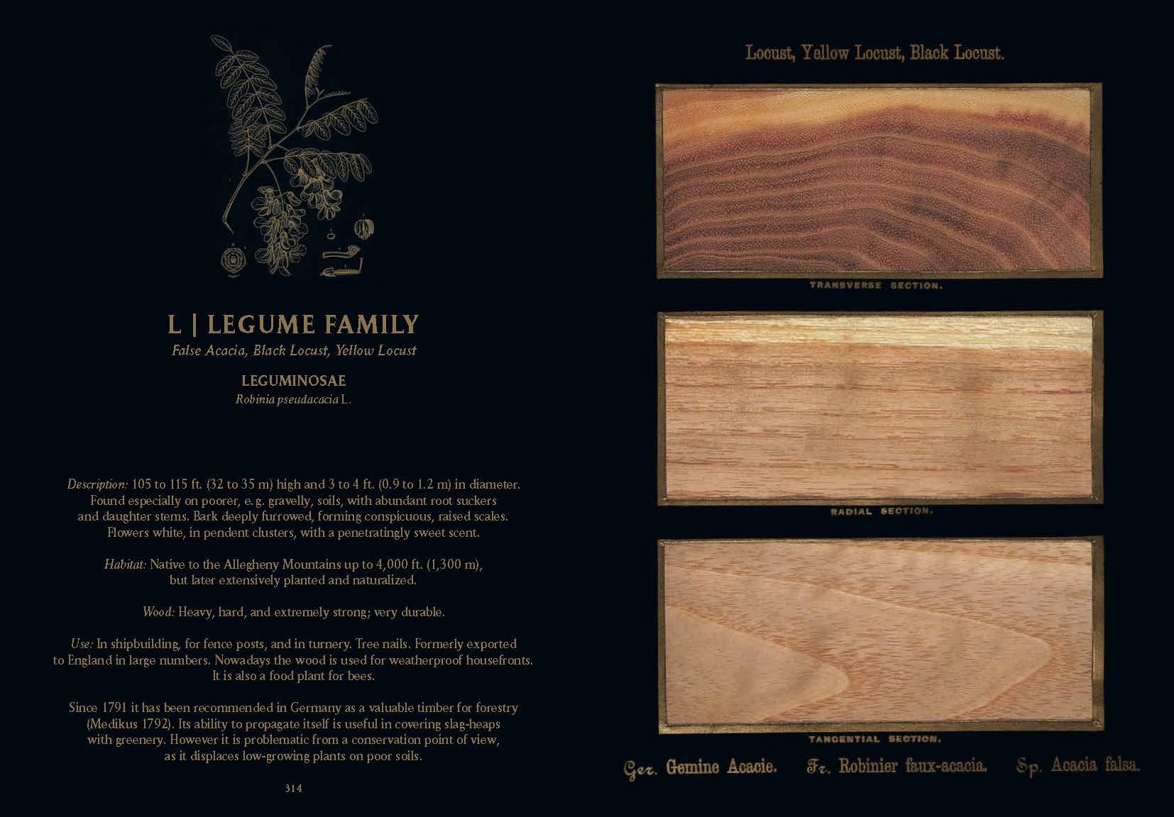 Romeyn B. Hough. The Woodbook. The Complete Plates (English)