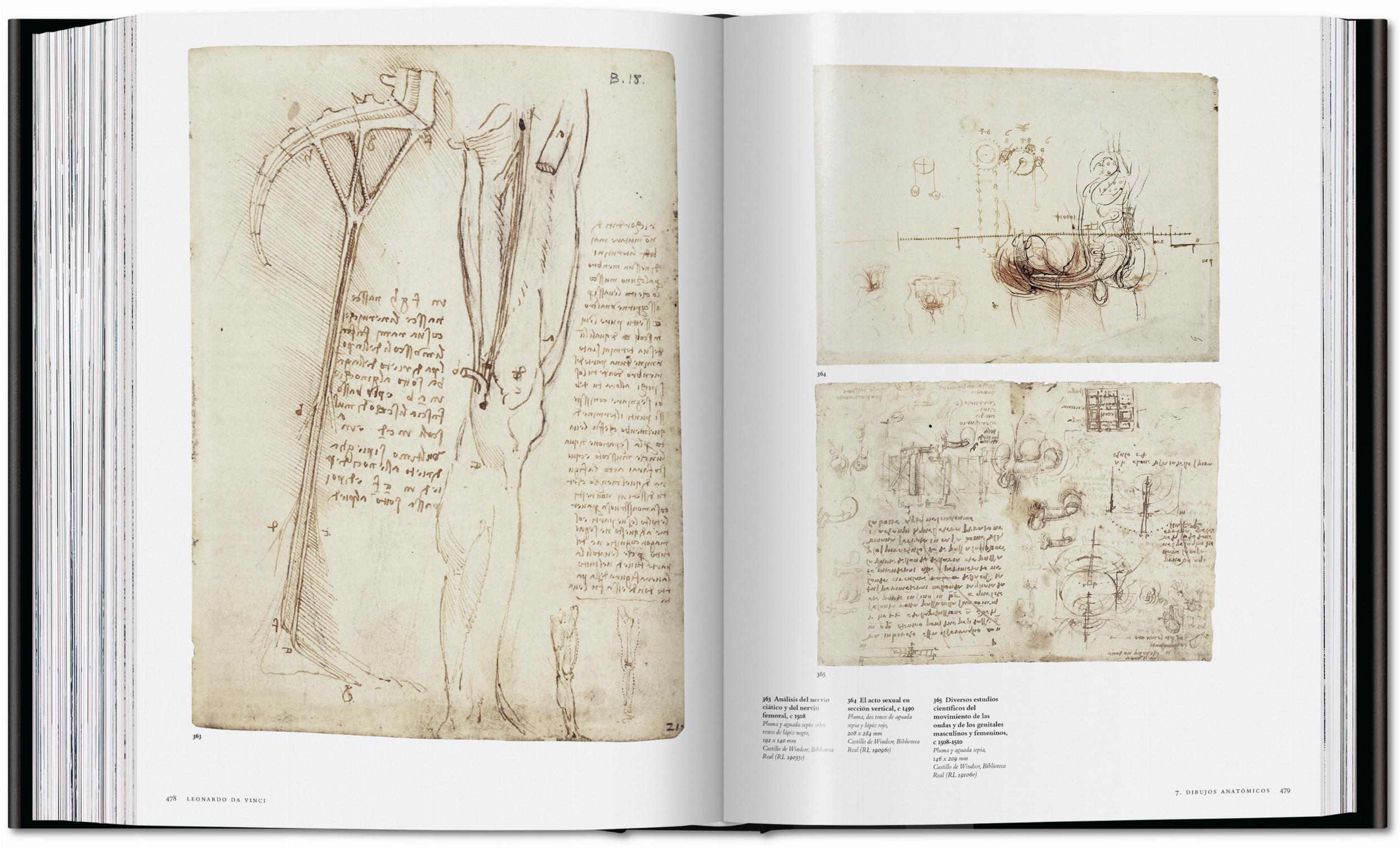 Leonardo. The Complete Paintings and Drawings (English)