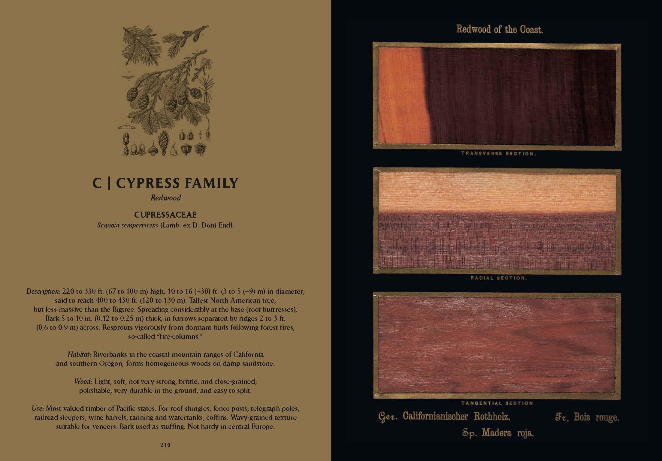 Romeyn B. Hough. The Woodbook. The Complete Plates (English)