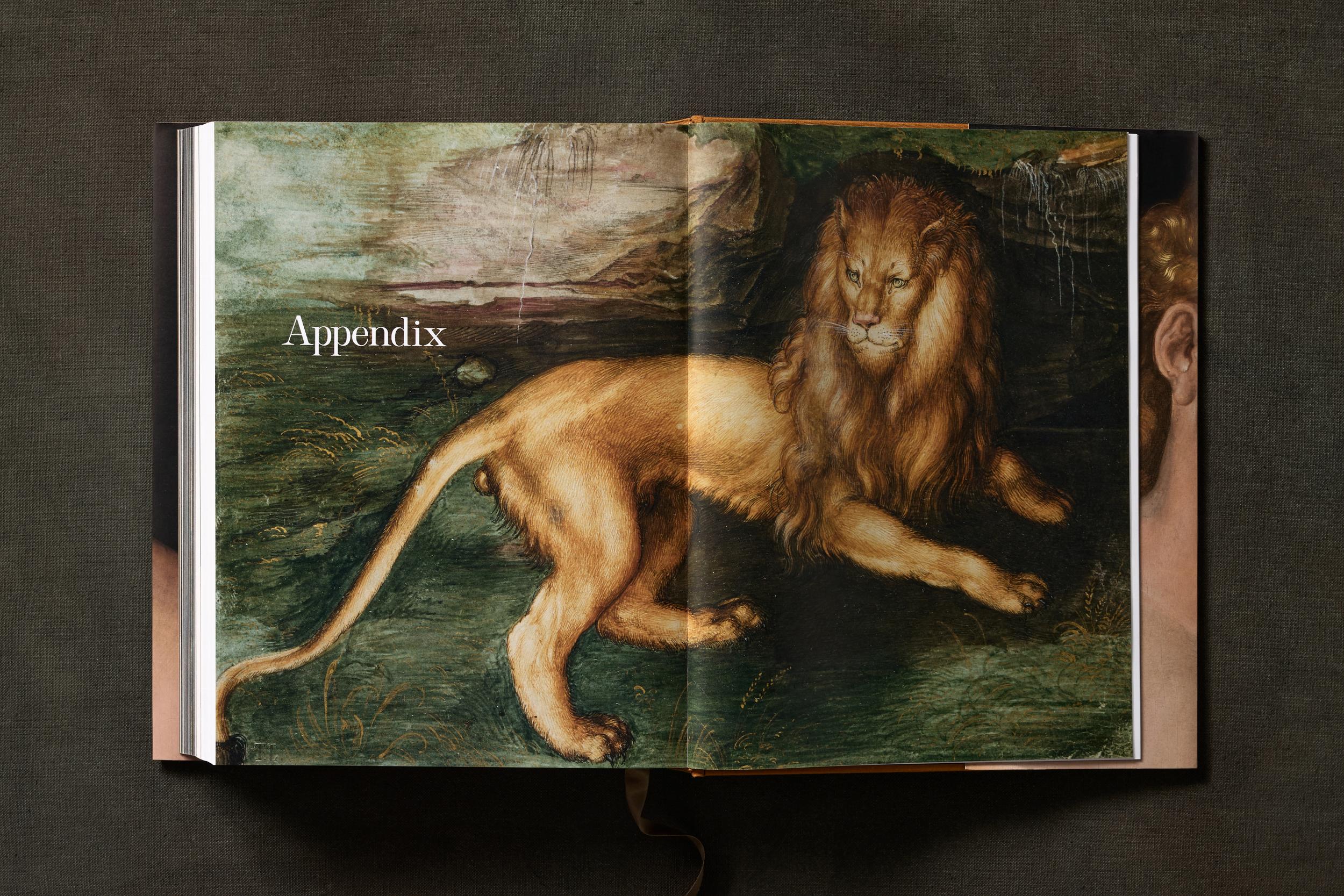 Albrecht Dürer. The Complete Paintings. Selected Drawings and Prints (English)