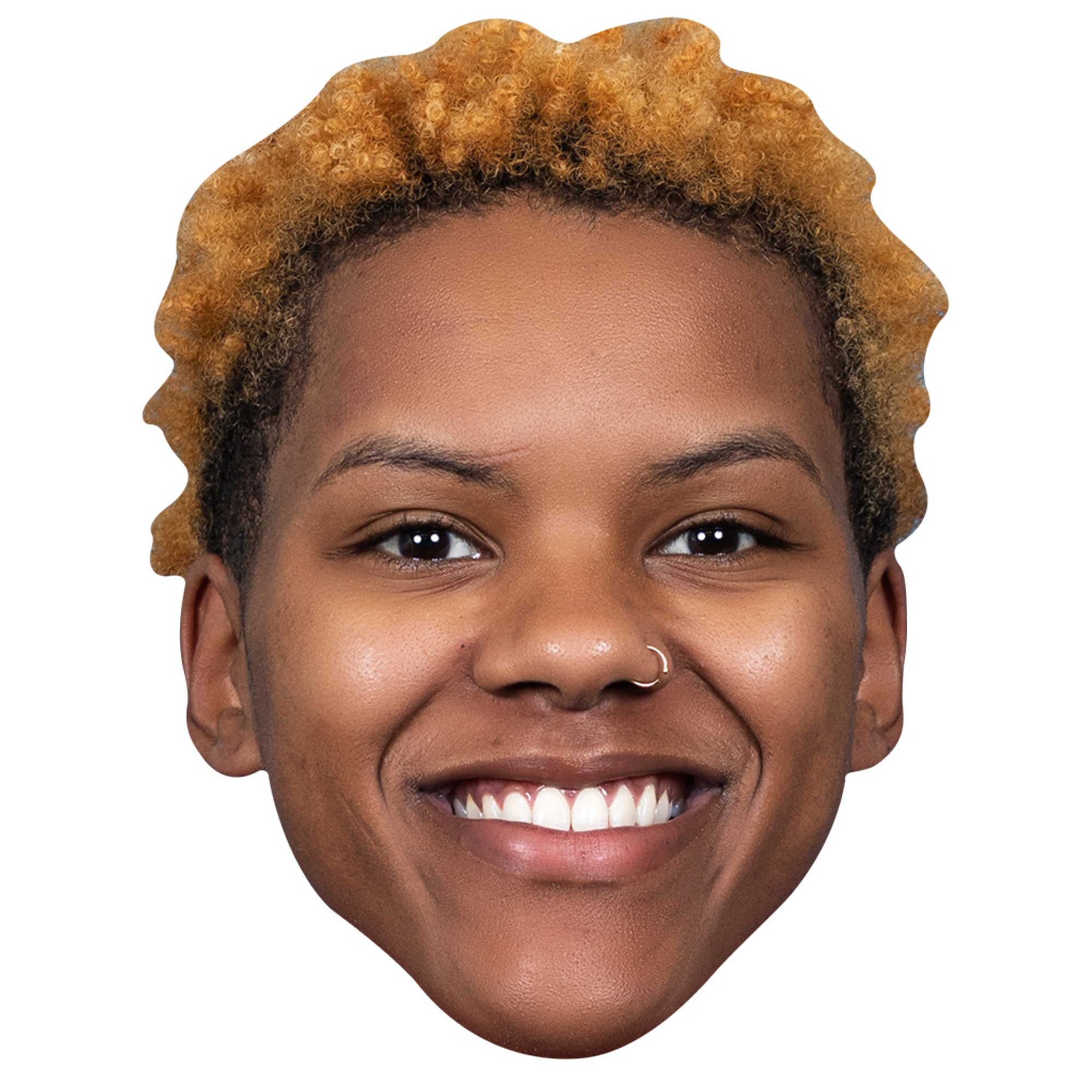 Courtney Williams - Big Head - Official WNBA - Minnesota Lynx - Foam Core Cutout