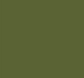 AK Interactive 11312 AFV Series: Reseda Green RAL6011B 3G Acrylic Paint 17ml Bot