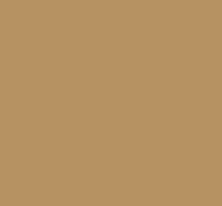 AK Interactive 11349 AFV Series: CARC Tan 686A FS33446 3G Acrylic Paint 17ml Bottle