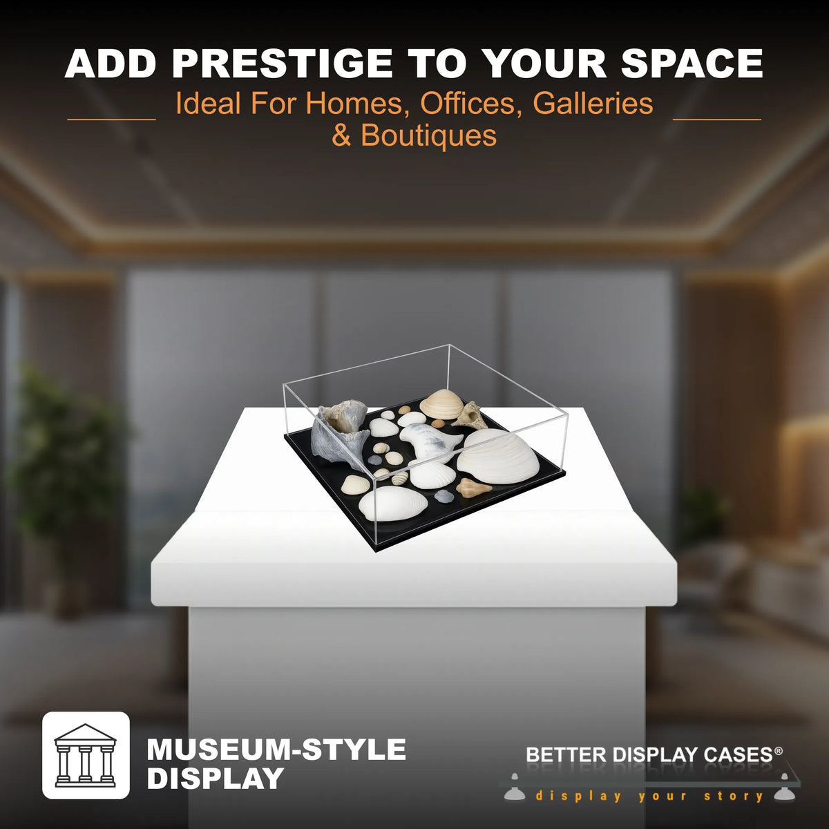 Versatile Acrylic Display Cases with Double Sheet Base with Clear Case