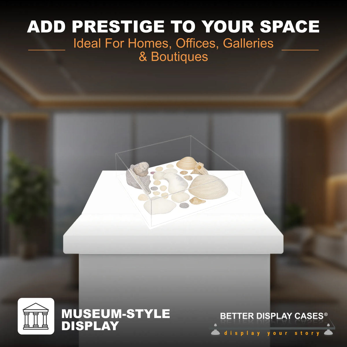 Versatile Acrylic Display Cases with Double Sheet Base with Clear Case