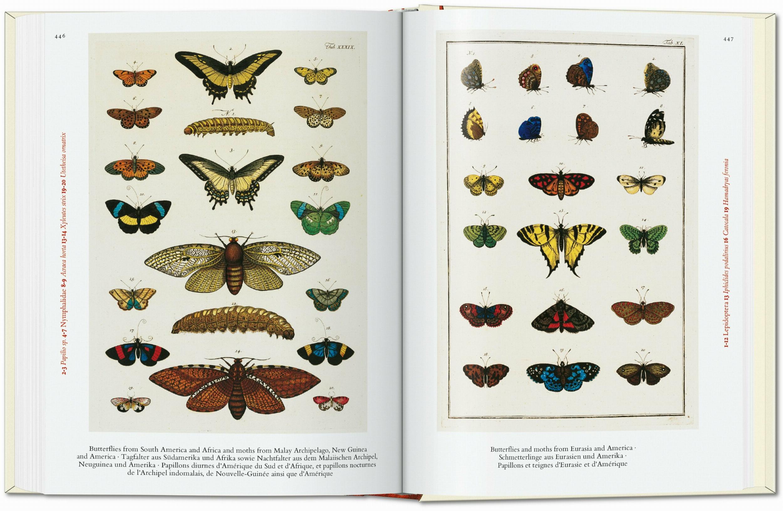 Seba. Cabinet of Natural Curiosities. 45th Ed. (German, French, English)