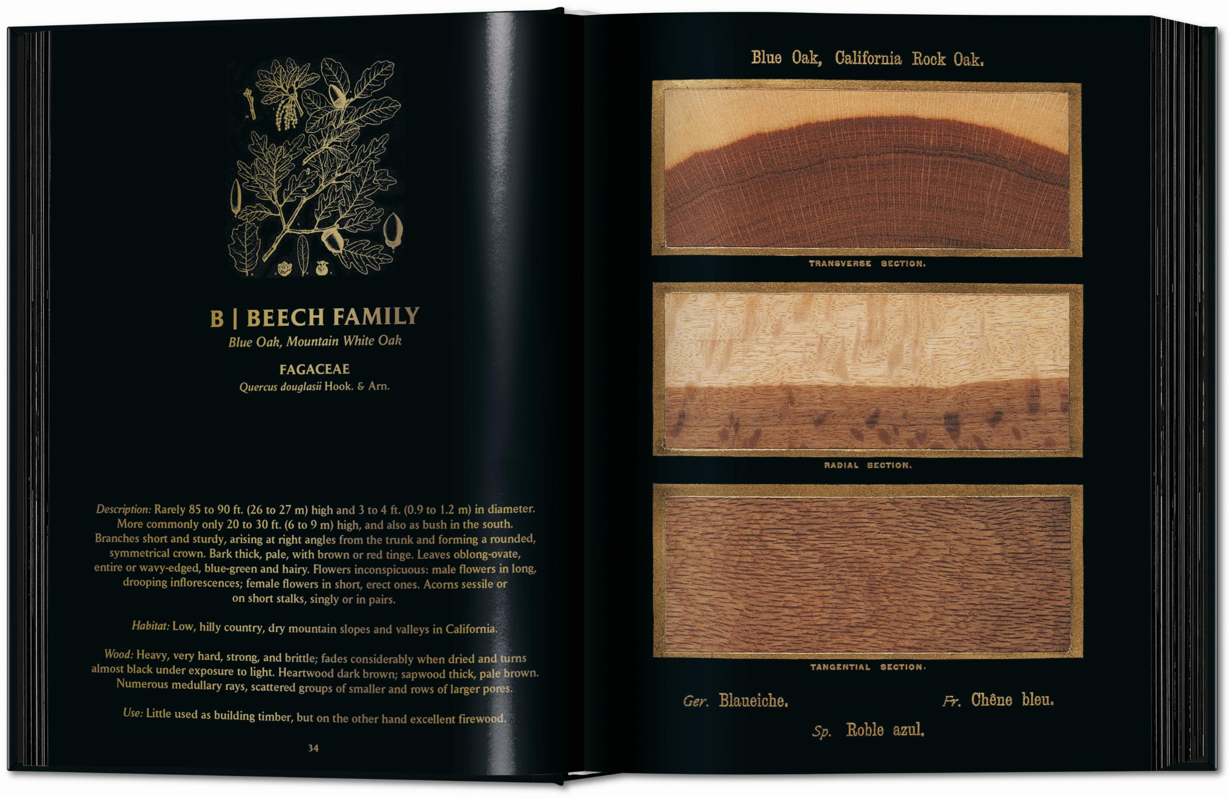 Romeyn B. Hough. The Woodbook. The Complete Plates (English)