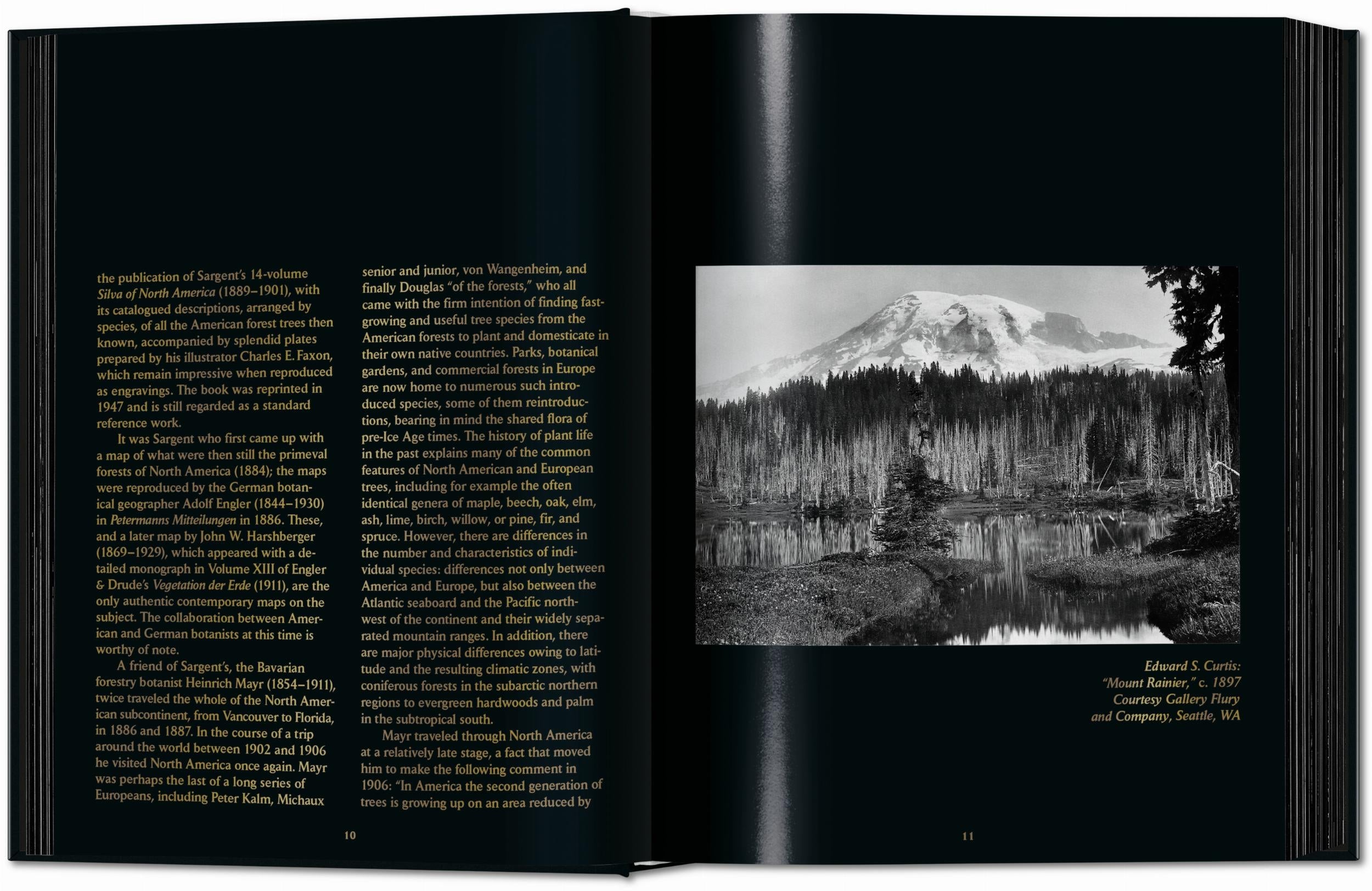 Romeyn B. Hough. The Woodbook. The Complete Plates (English)