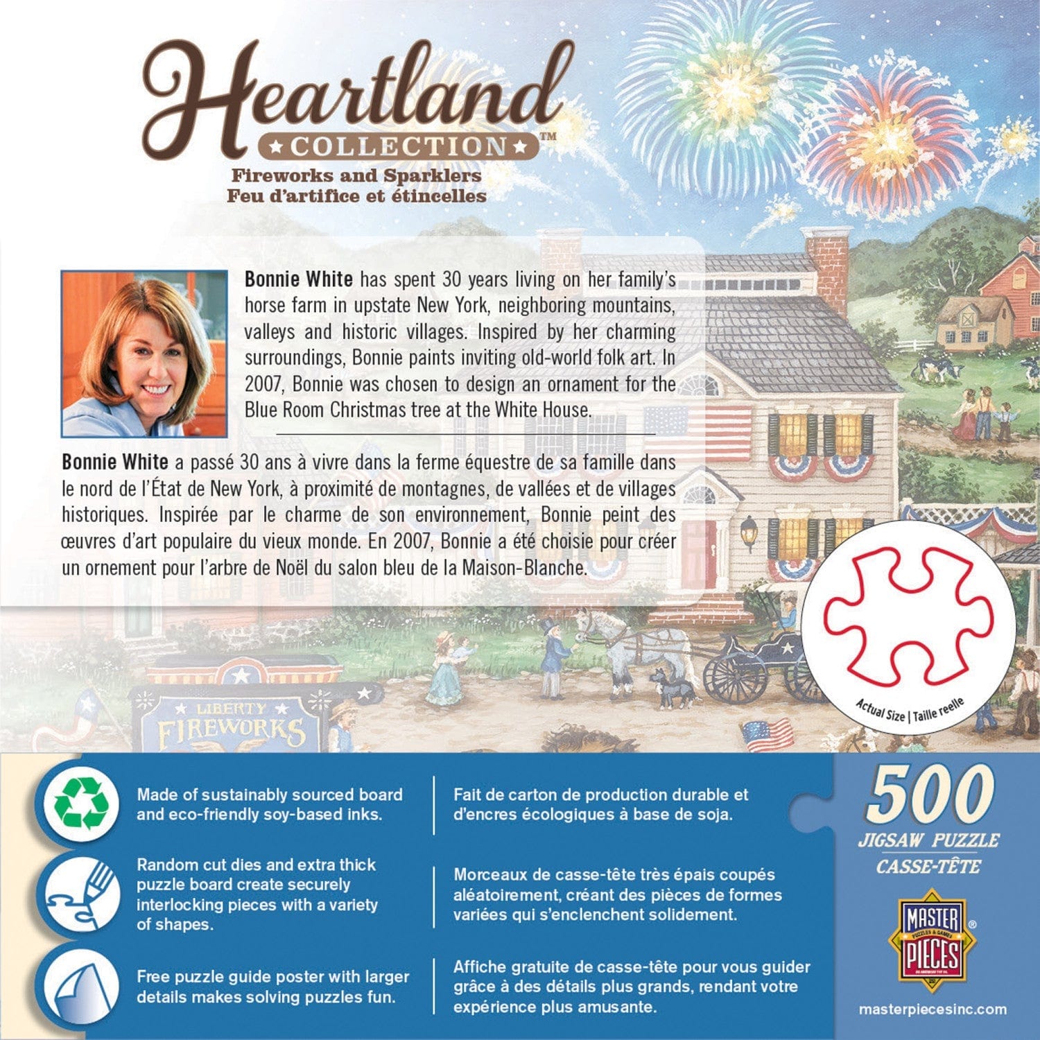 Fireworks and Sparklers 550 pc