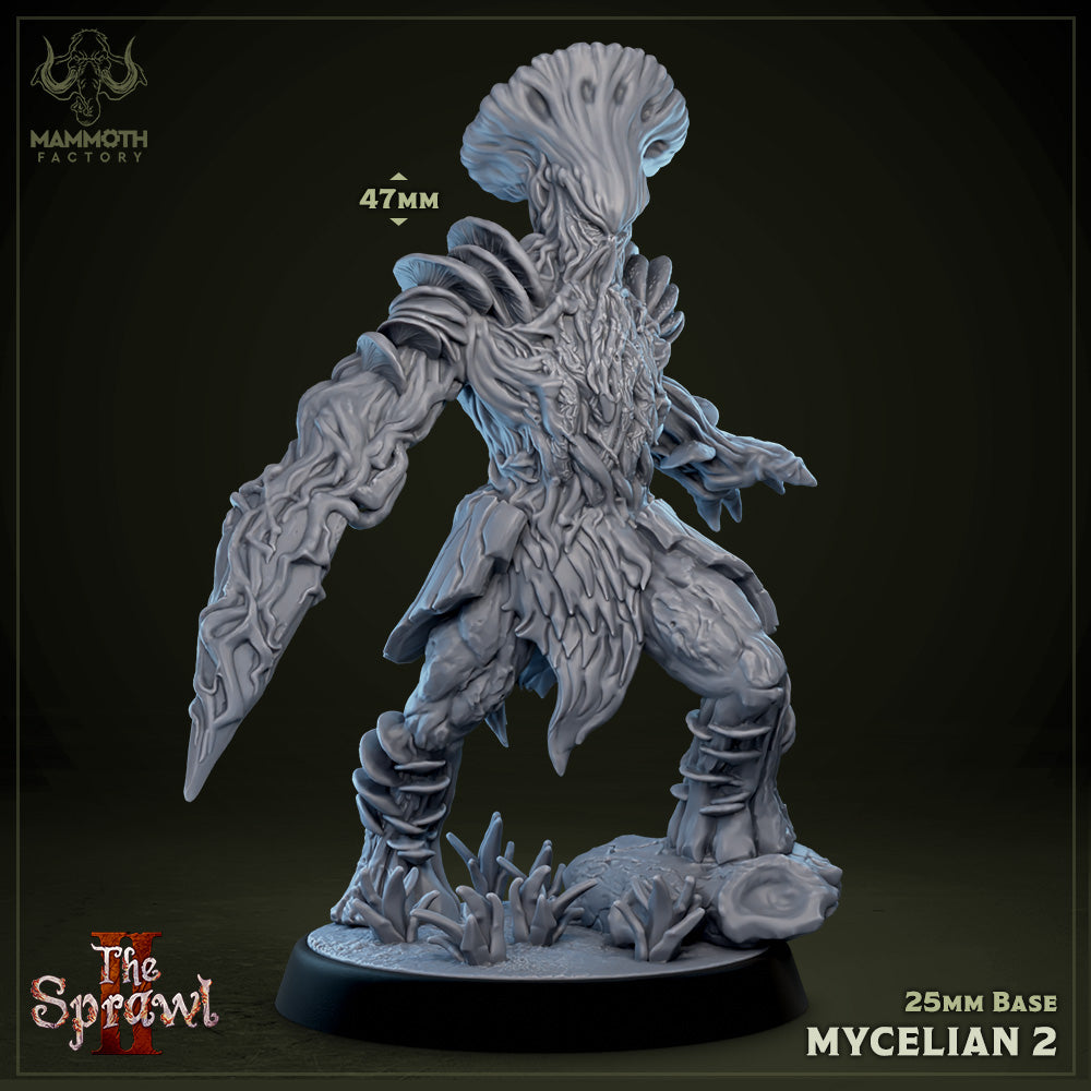 Mycelian 2 (Myconid Warrior)