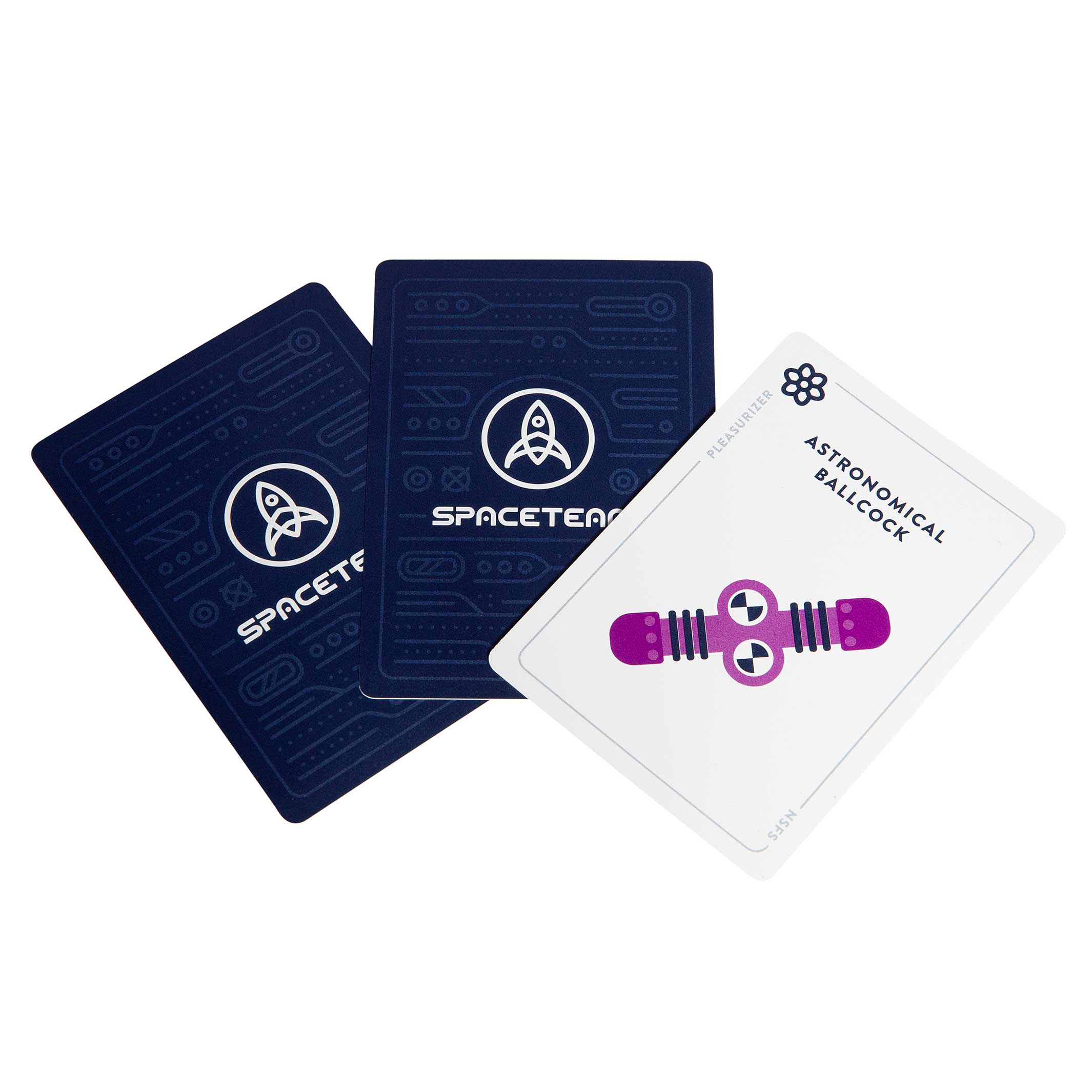 Spaceteam Expansion: NSFS